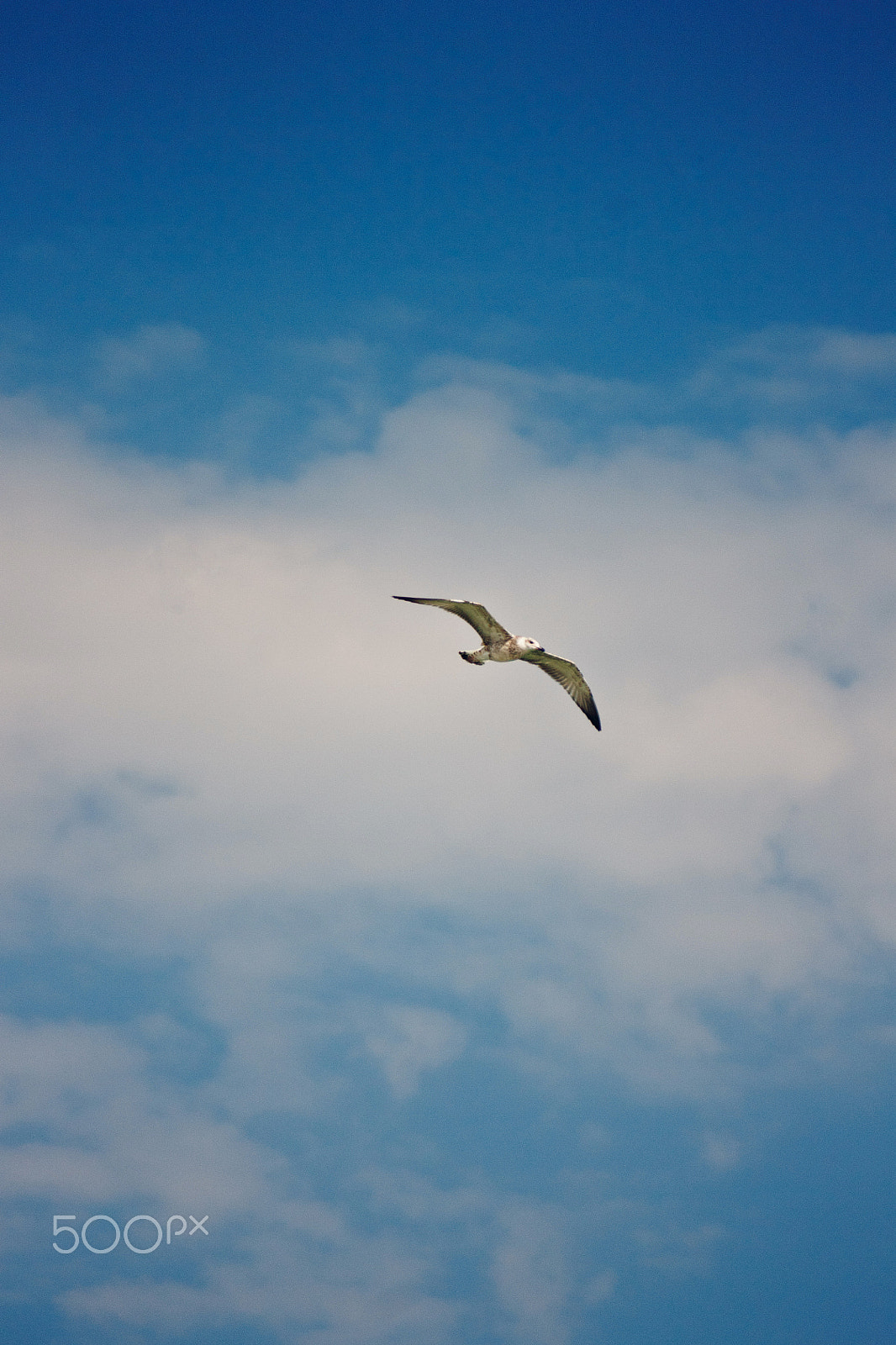 Canon EOS 1100D (EOS Rebel T3 / EOS Kiss X50) + Canon EF 70-210mm f/4 sample photo. Deep blue sky photography