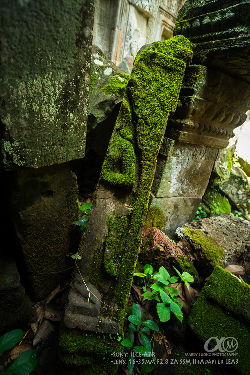 Sony Vario-Sonnar T* 16-35mm F2.8 ZA SSM II sample photo. Nature and temple! photography