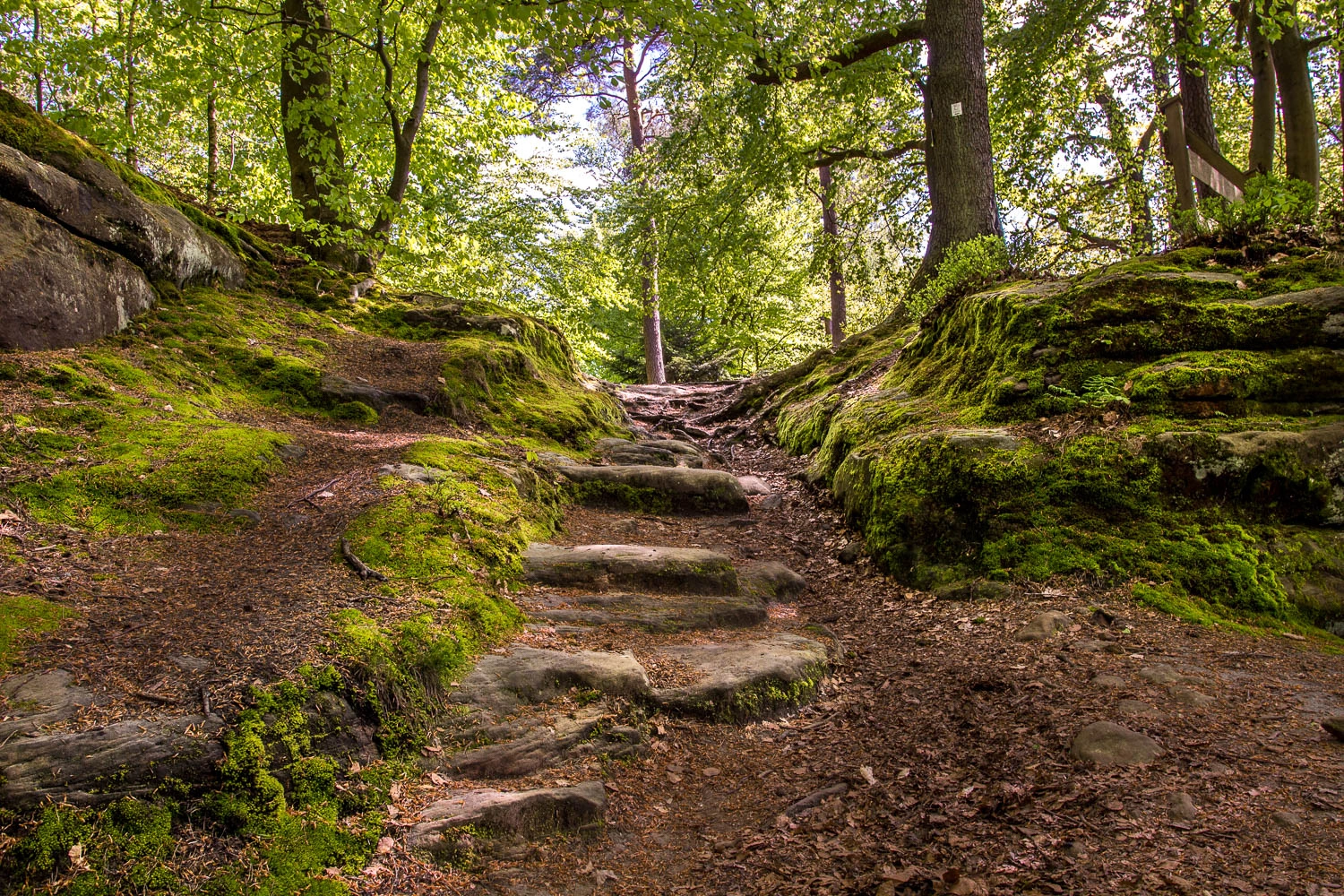 Sigma 18-35mm f/1.8 DC HSM sample photo. Stairway to ... photography