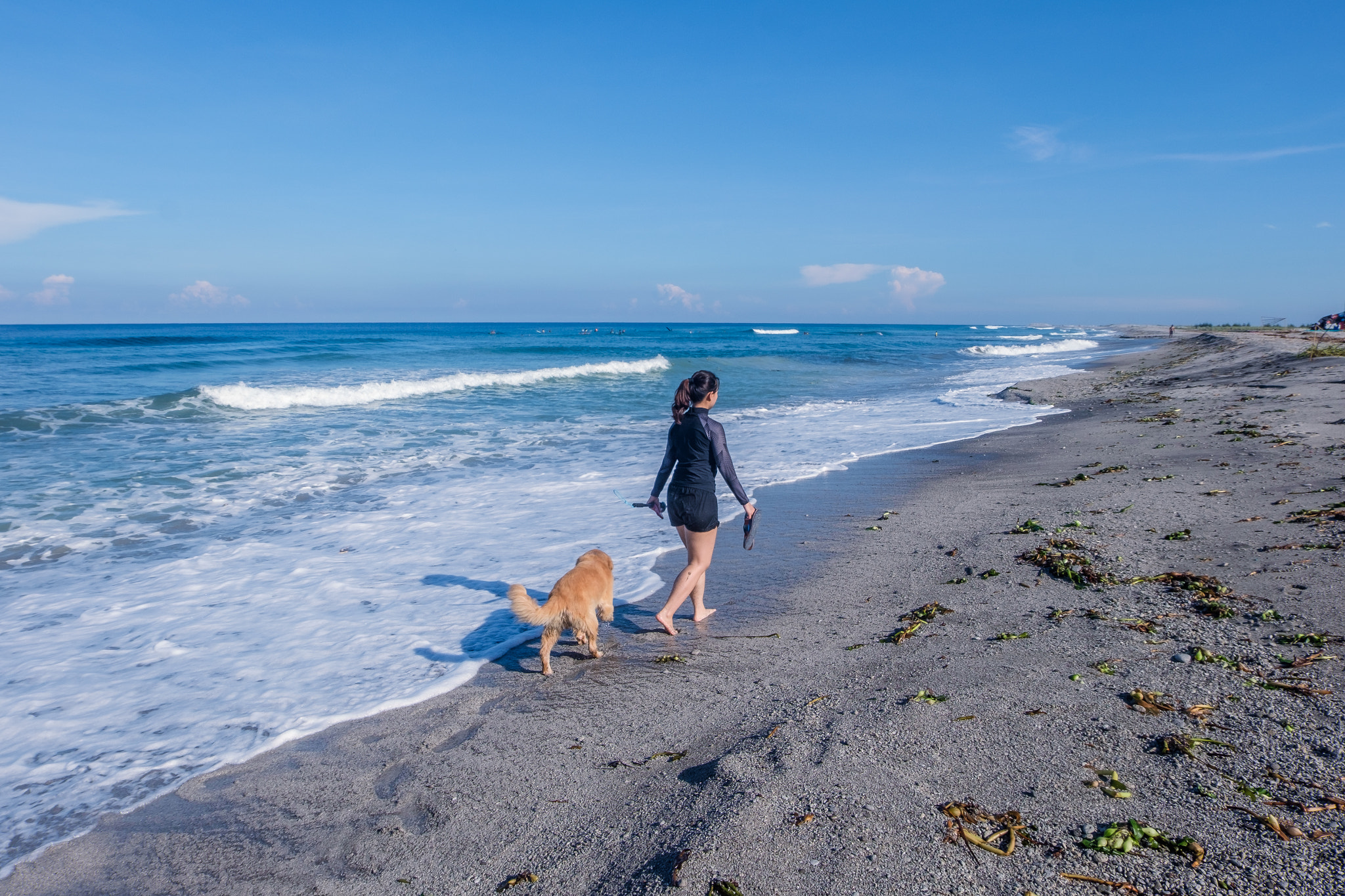 Fujifilm XC 16-50mm F3.5-5.6 OIS sample photo. A girl walks a dog photography