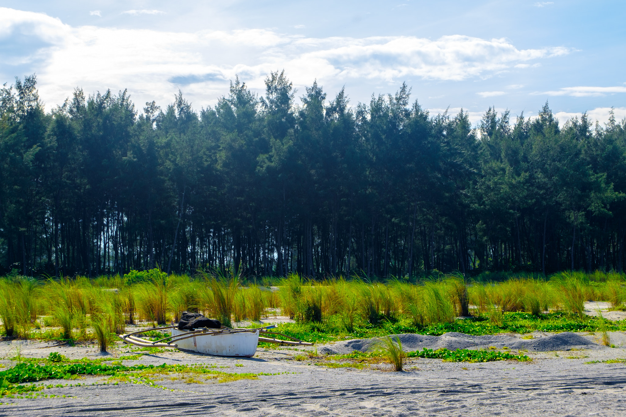 Fujifilm XC 16-50mm F3.5-5.6 OIS sample photo. Isolation photography