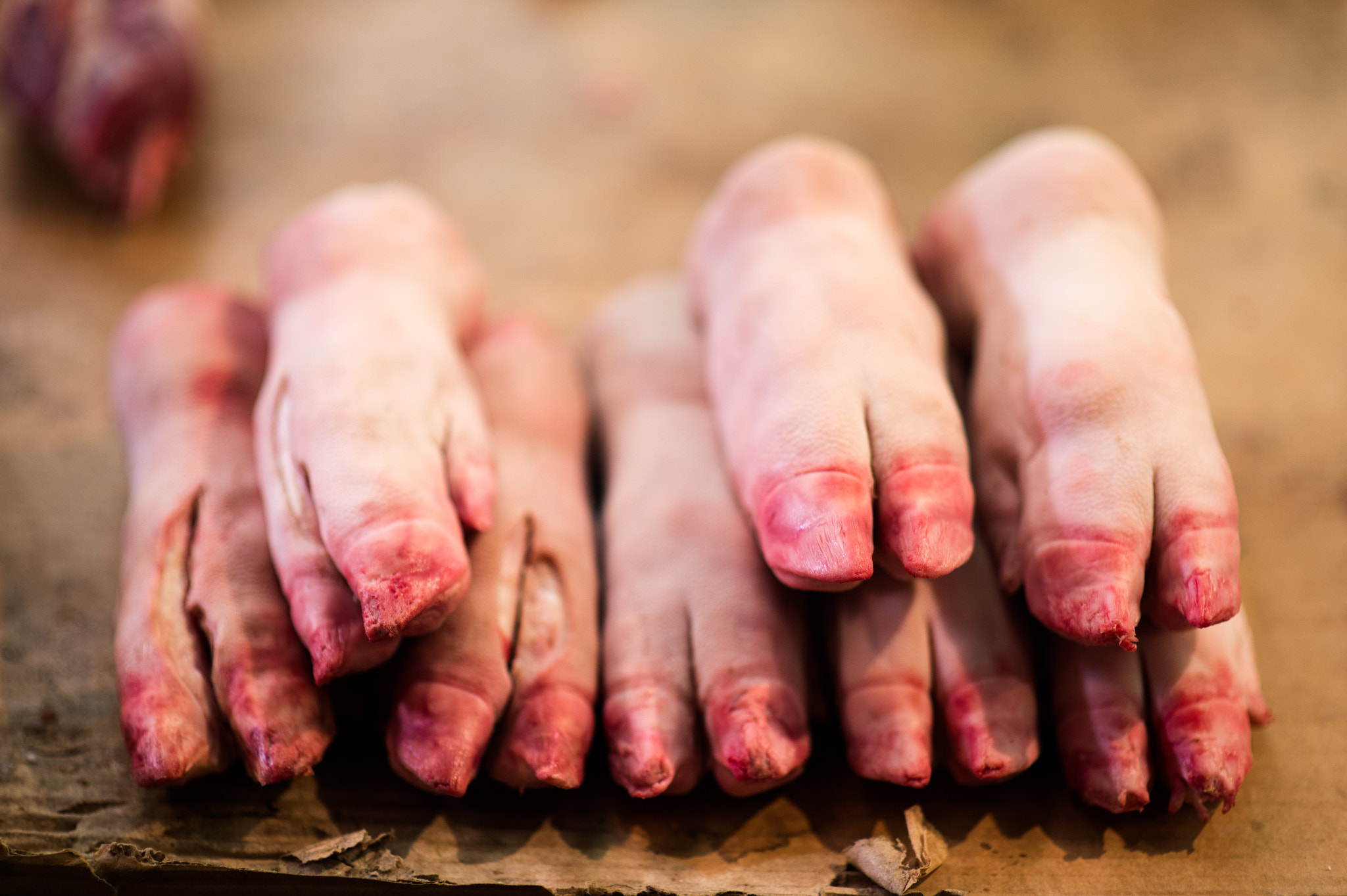 Nikon Df + Sigma 85mm F1.4 EX DG HSM sample photo. Toes for the pot. photography