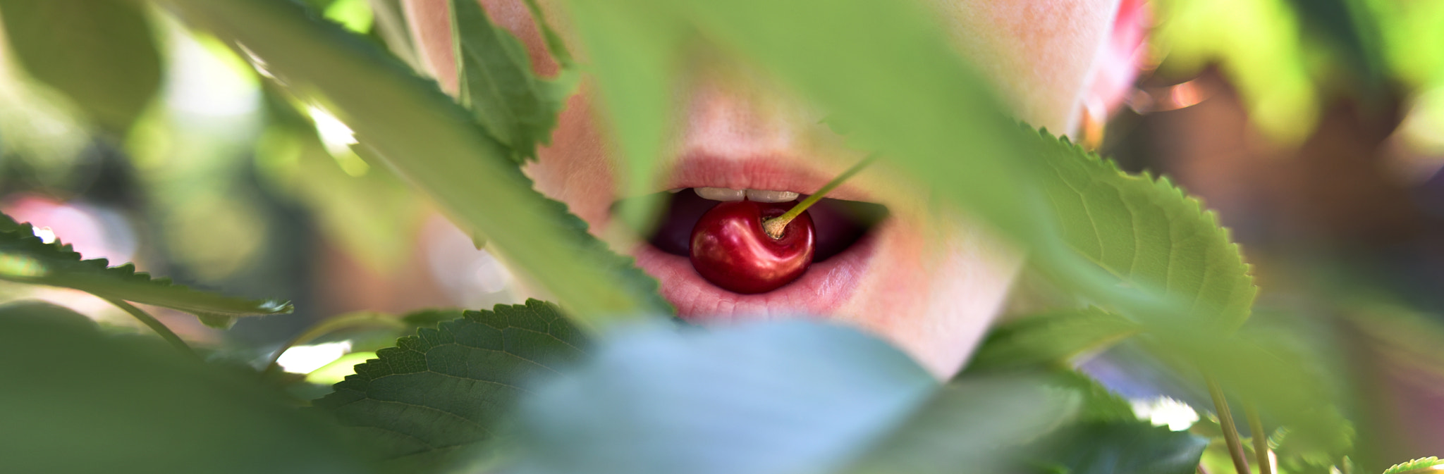 Nikon D750 + AF Nikkor 35mm f/2 sample photo. Lips photography