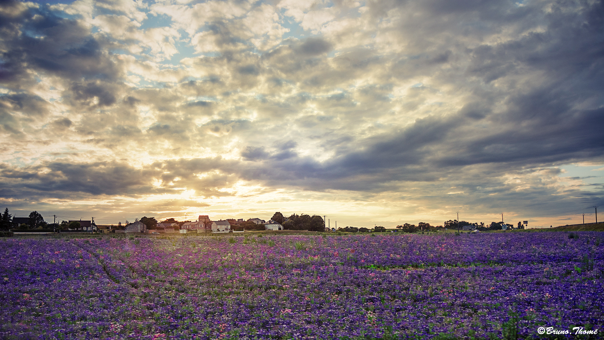 Sigma 17-50mm F2.8 EX DC HSM sample photo. Sunset photography