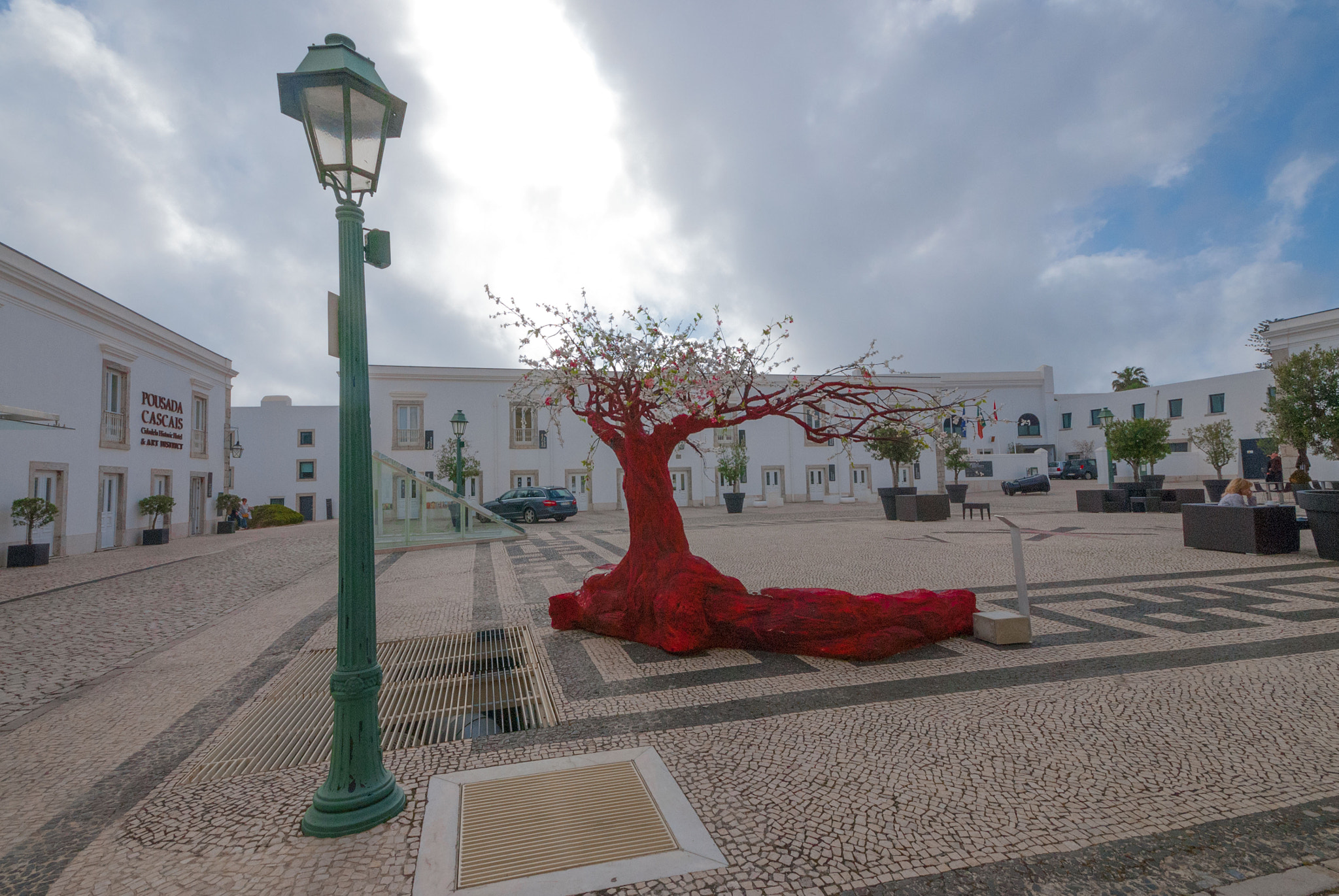 Sigma 10-20mm F4-5.6 EX DC HSM sample photo. Red tree photography