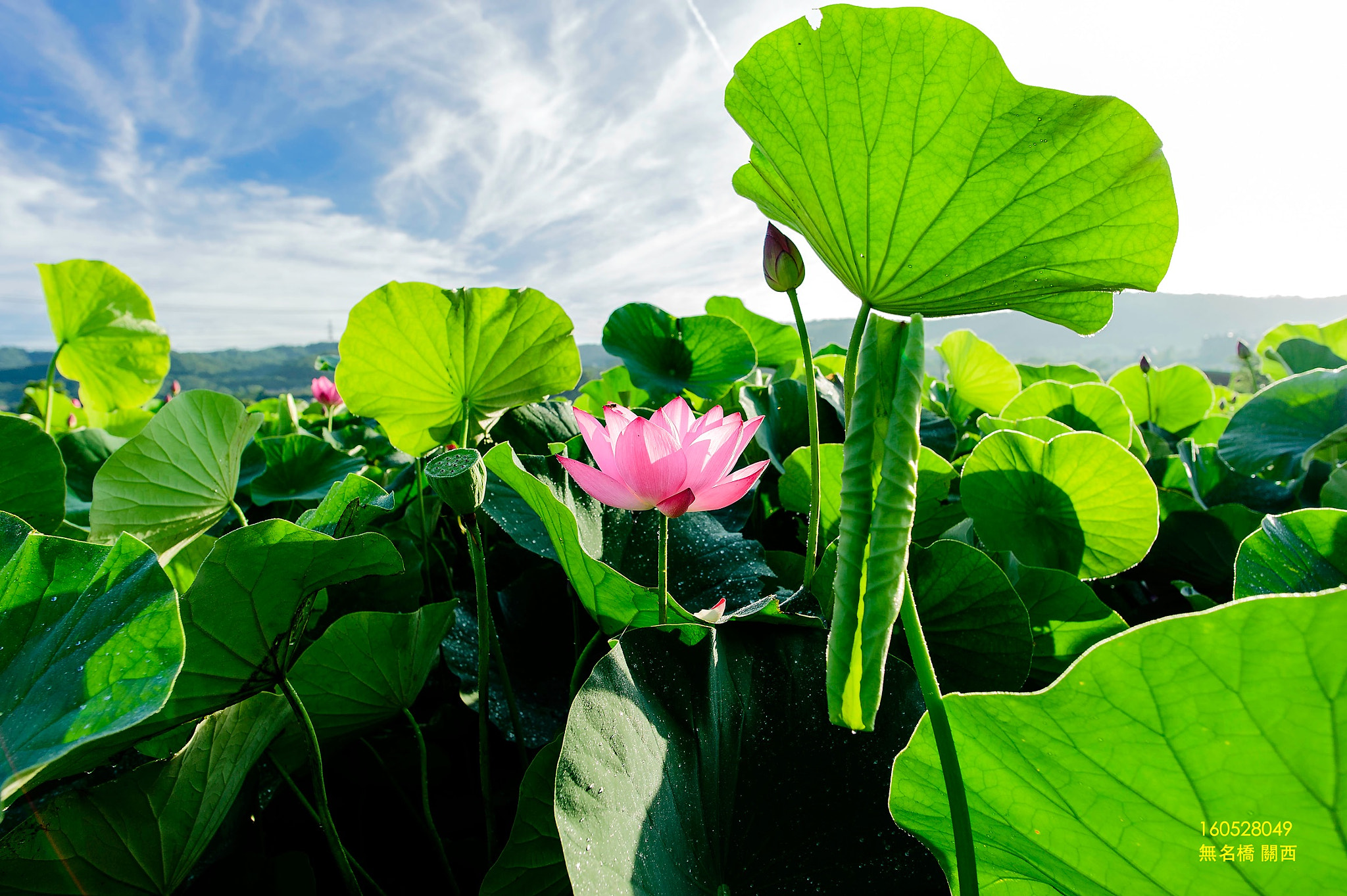 Nikon AF-S Nikkor 20mm F1.8G ED sample photo