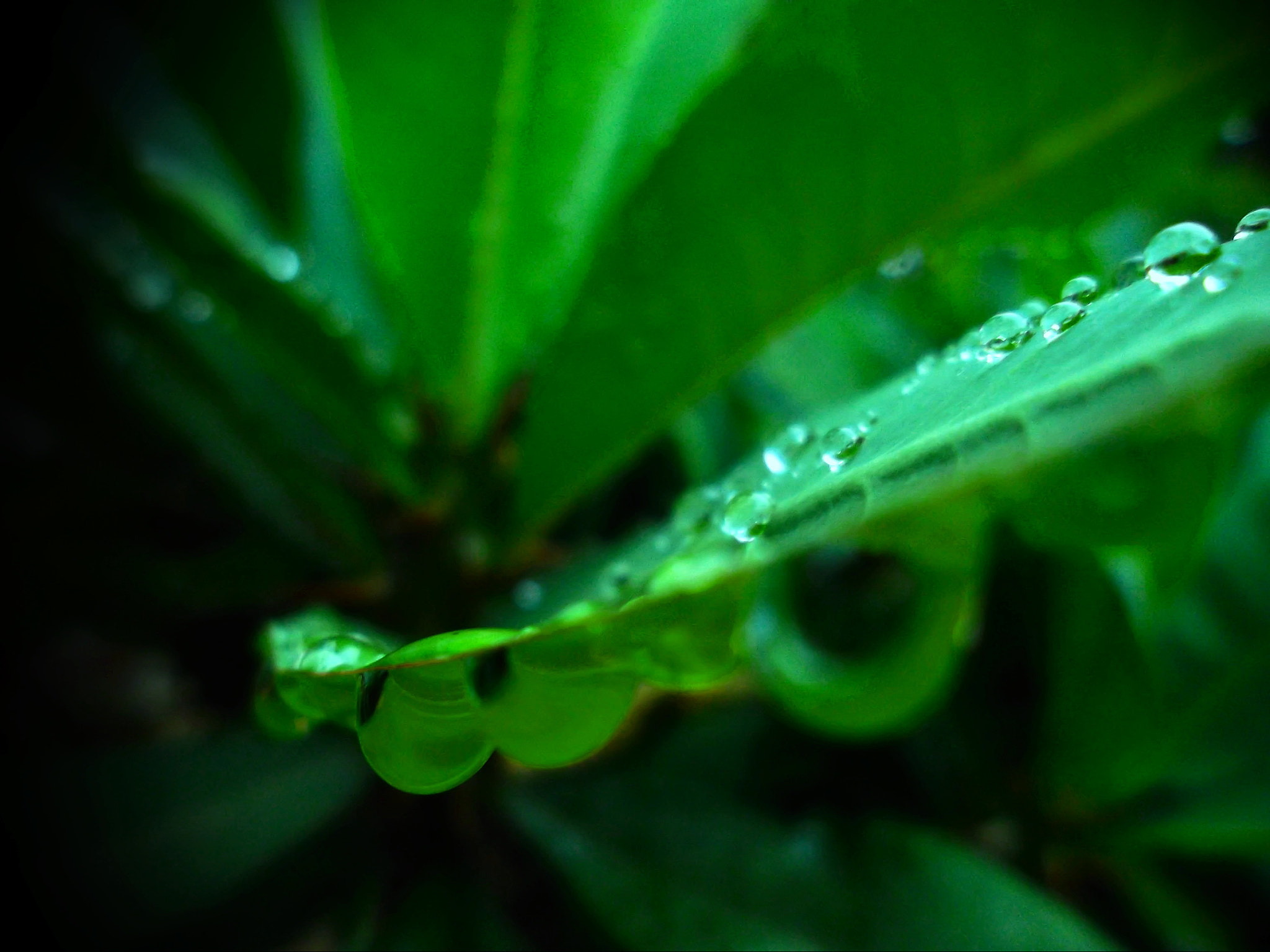 Samsung ST65 sample photo. Sam_0275.jpg photography