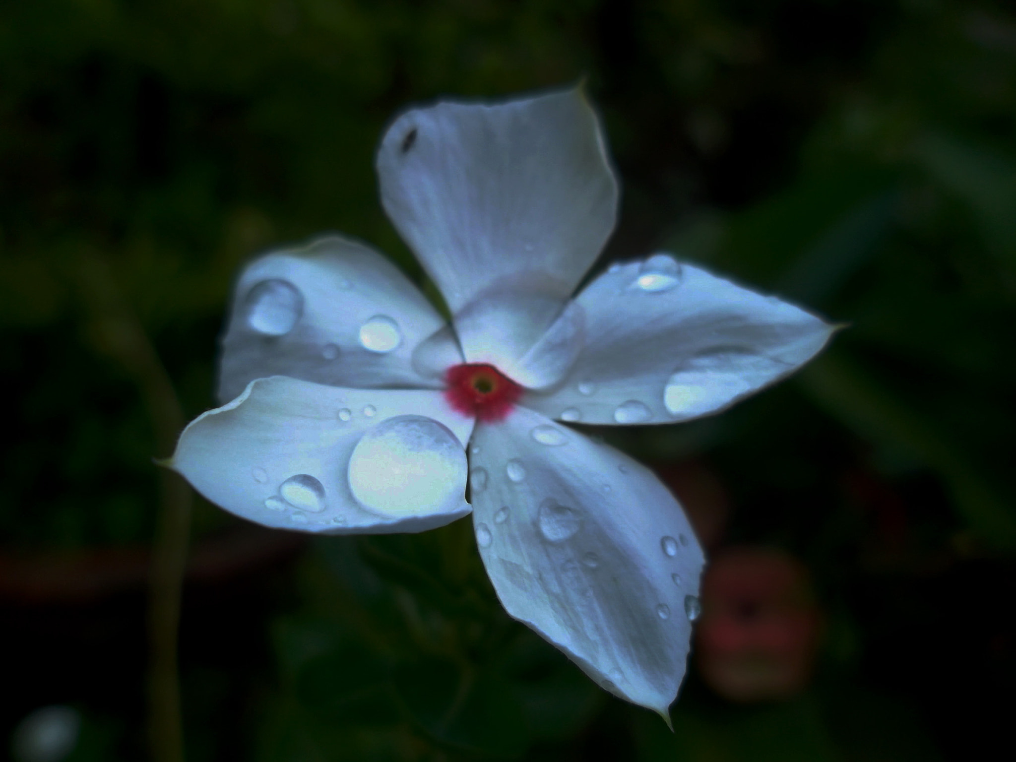 Samsung ST65 sample photo. Sam_0279.jpg photography