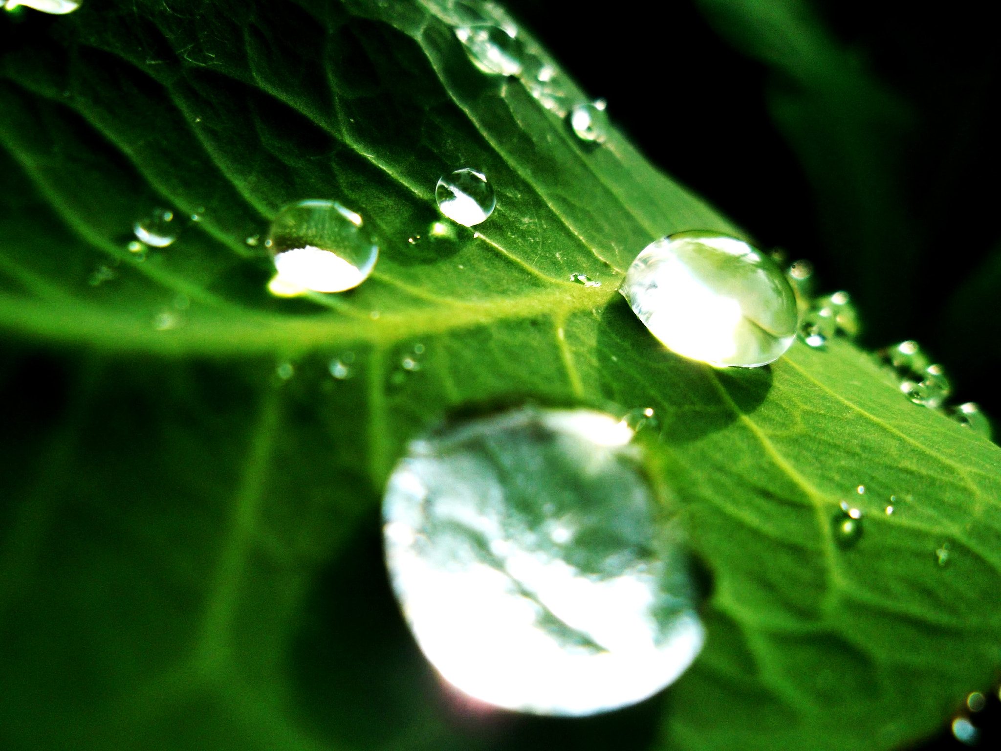 Samsung ST65 sample photo. Sam_0286.jpg photography