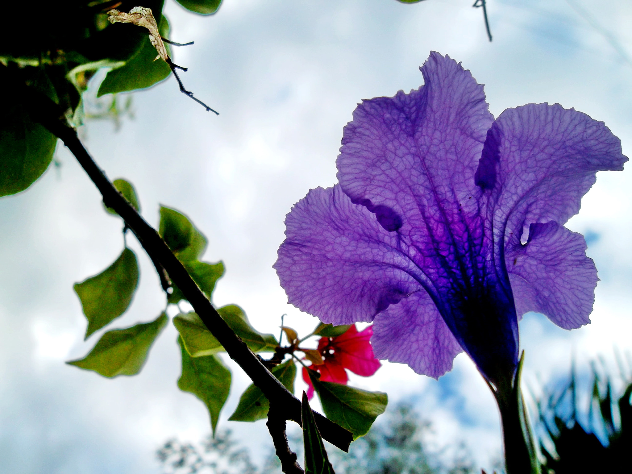 Samsung ST65 sample photo. Sam_0399.jpg photography
