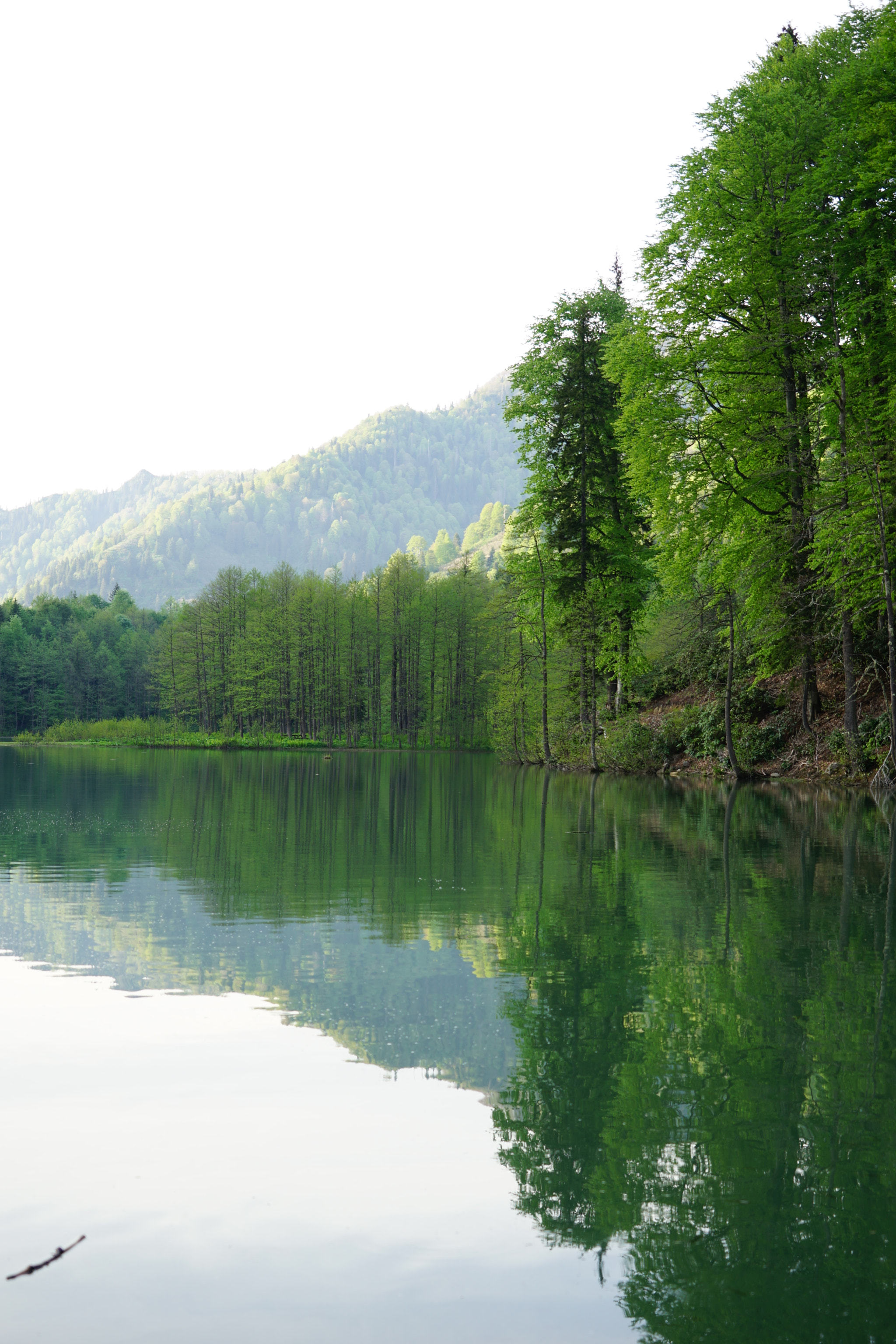 Tamron 18-200mm F3.5-6.3 Di III VC sample photo. Reflection photography