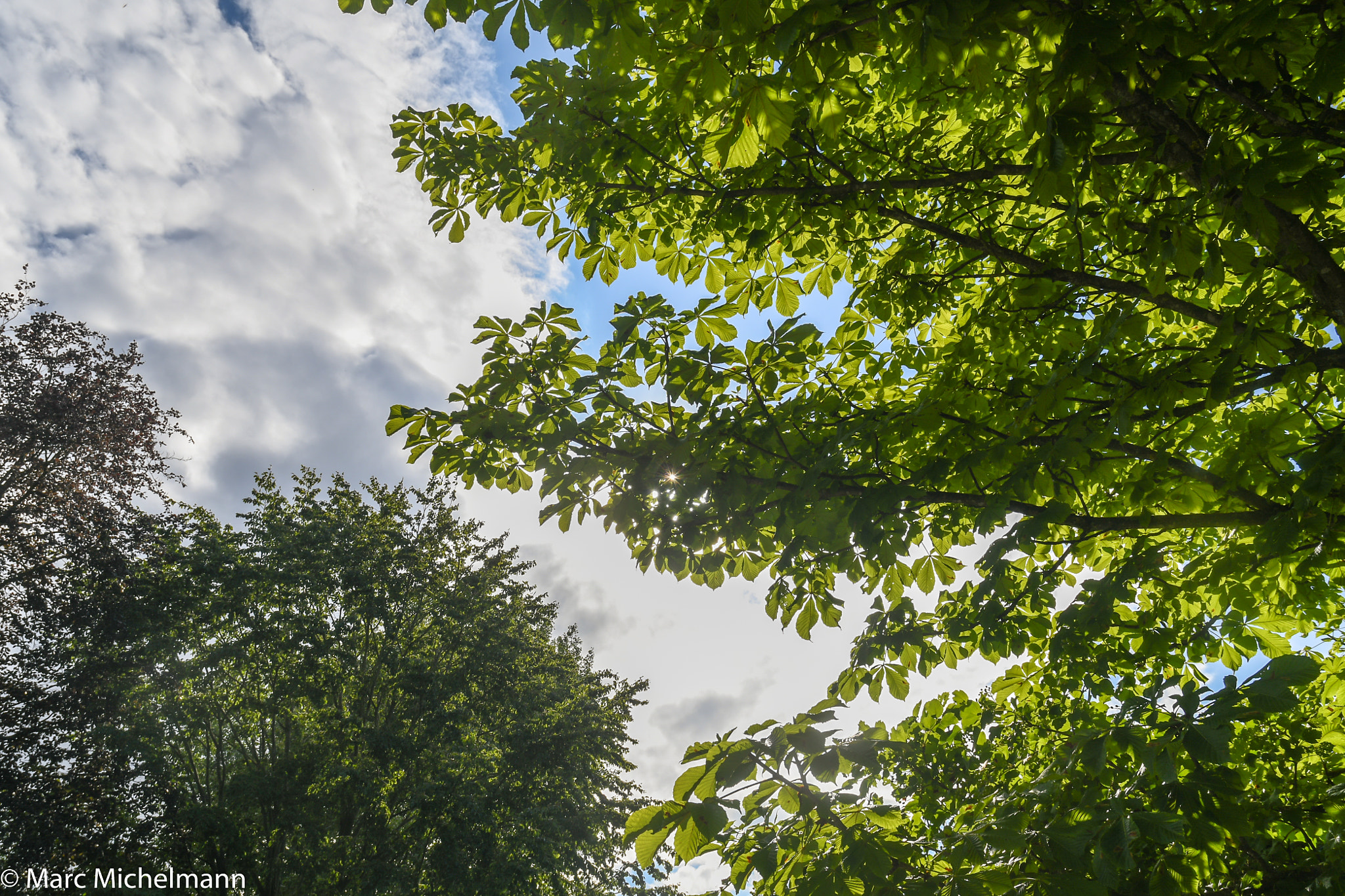 Nikon D500 sample photo. Breaking through photography