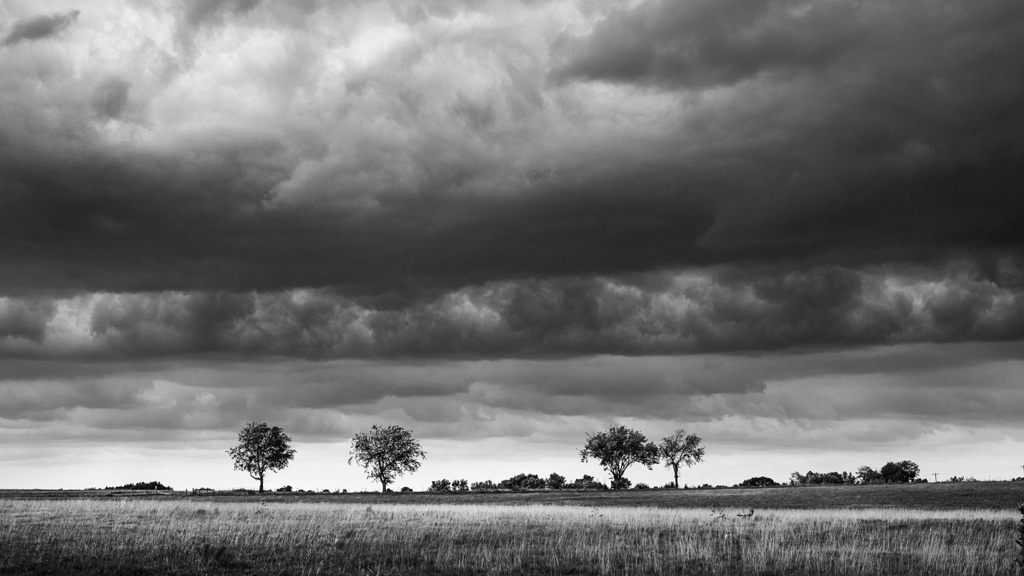 Leica APO-Summicron-M 50mm F2 ASPH sample photo. Before the storm photography