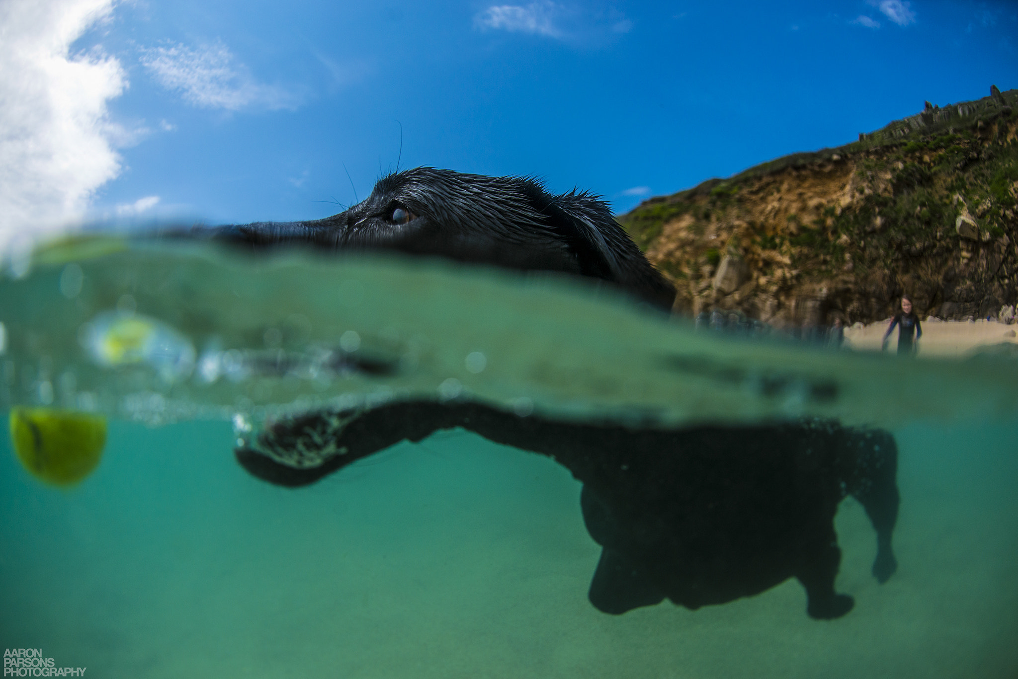 Nikon D800 + Nikon AF Fisheye-Nikkor 16mm F2.8D sample photo. Fetch! photography