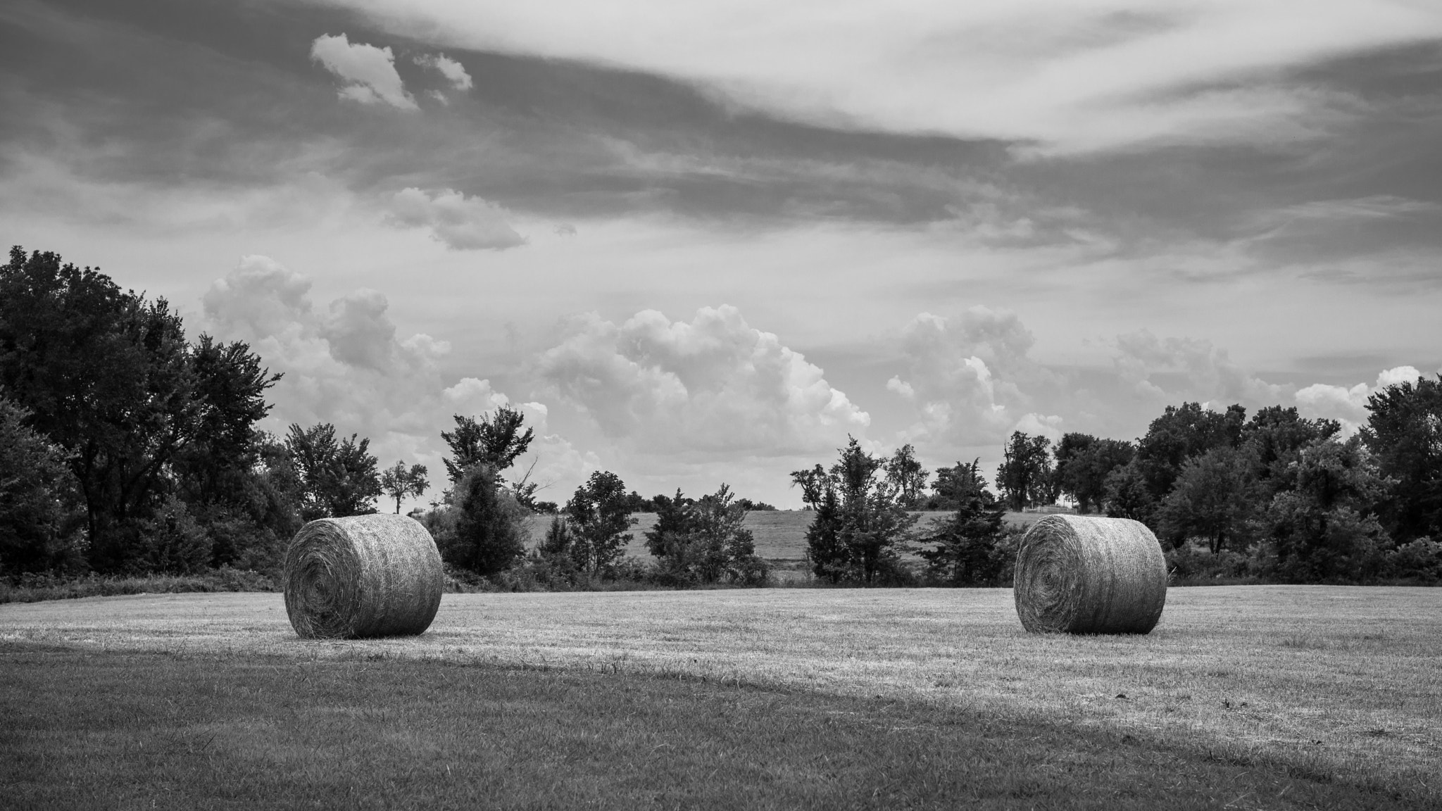 Leica APO-Summicron-M 50mm F2 ASPH sample photo. Summer hay harvest photography