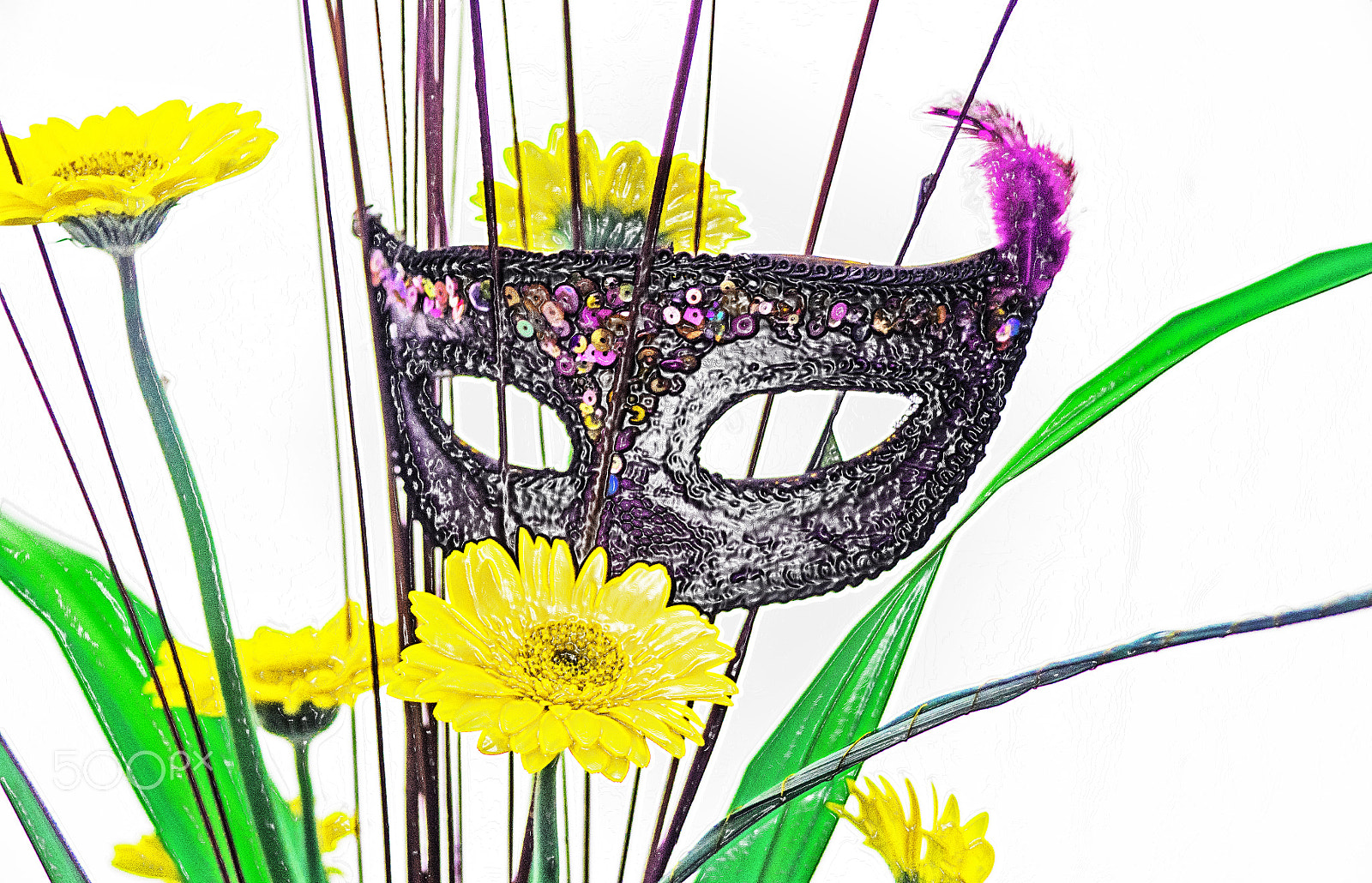 Sony DT 18-250mm F3.5-6.3 sample photo. The mask photography