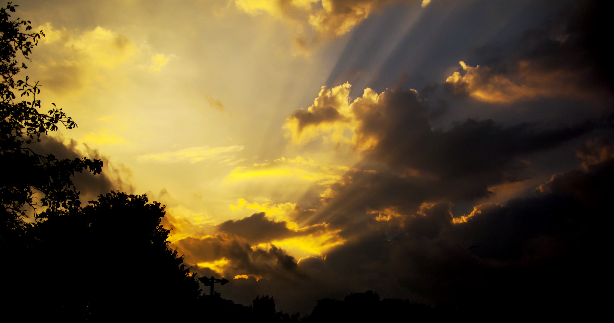 Nikon D50 sample photo. Fire in the sky photography