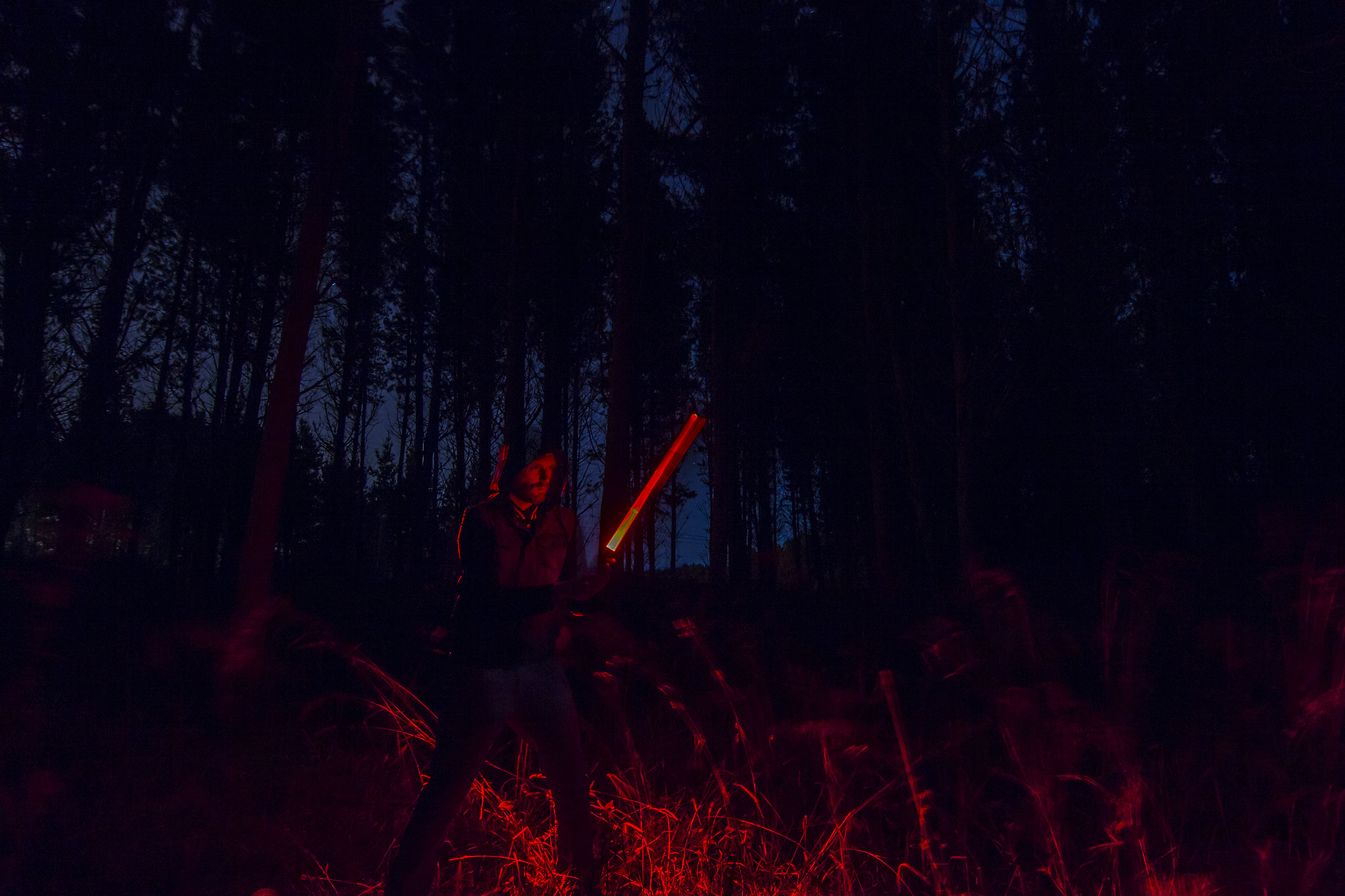 Tokina AT-X Pro 12-24mm F4 (IF) DX sample photo. Jedi in the forest photography