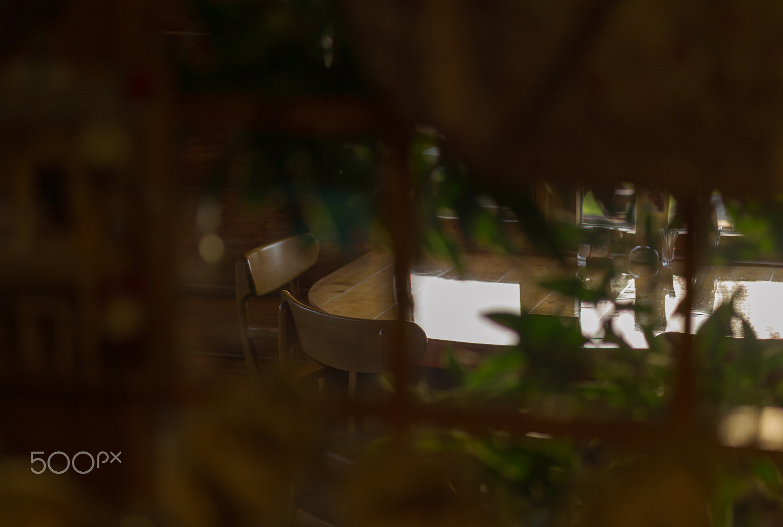 Summicron-M 50mm f/2 (IV, V) sample photo. July 15 .f photography