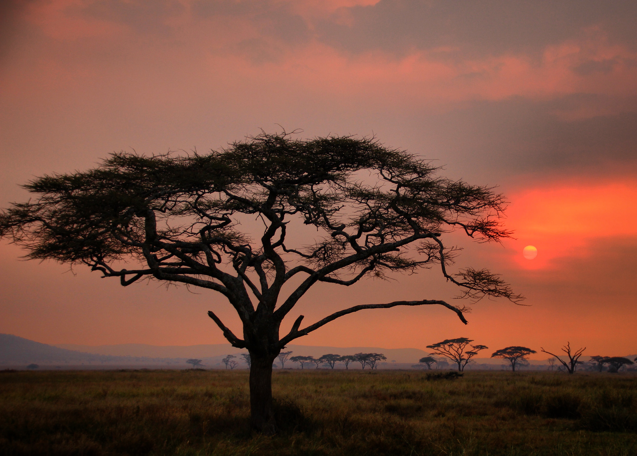 Canon 18-250mm sample photo. Sunset photography