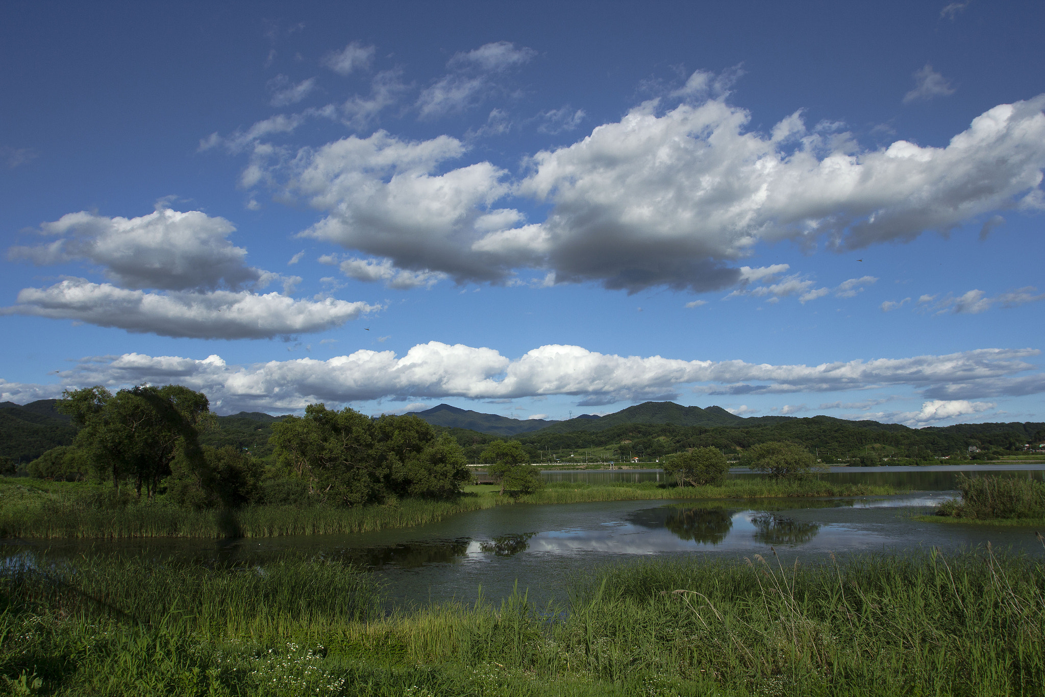 Canon EOS 60D + Canon EF 16-35mm F2.8L USM sample photo