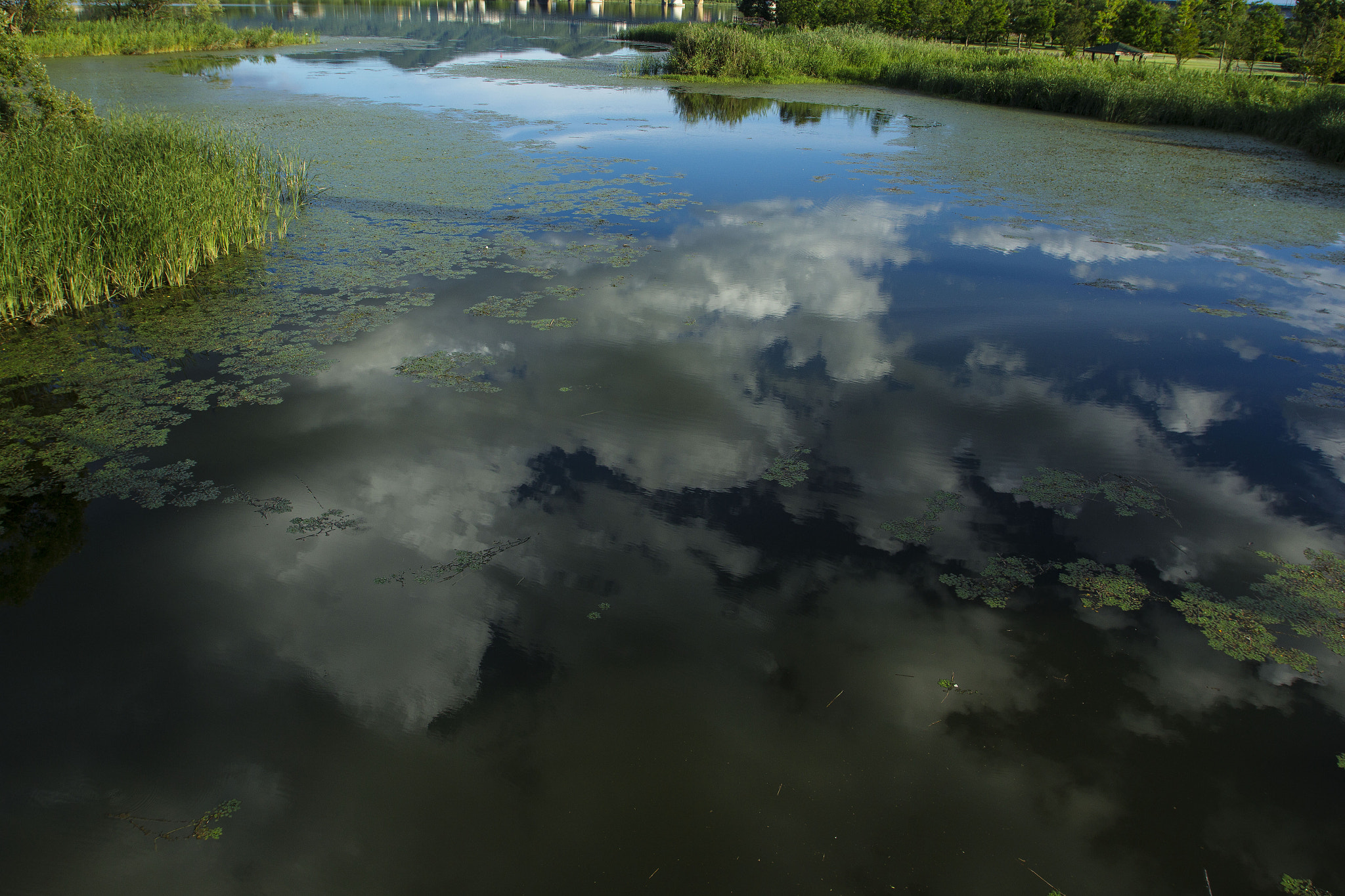 Canon EOS 60D + Canon EF 16-35mm F2.8L USM sample photo
