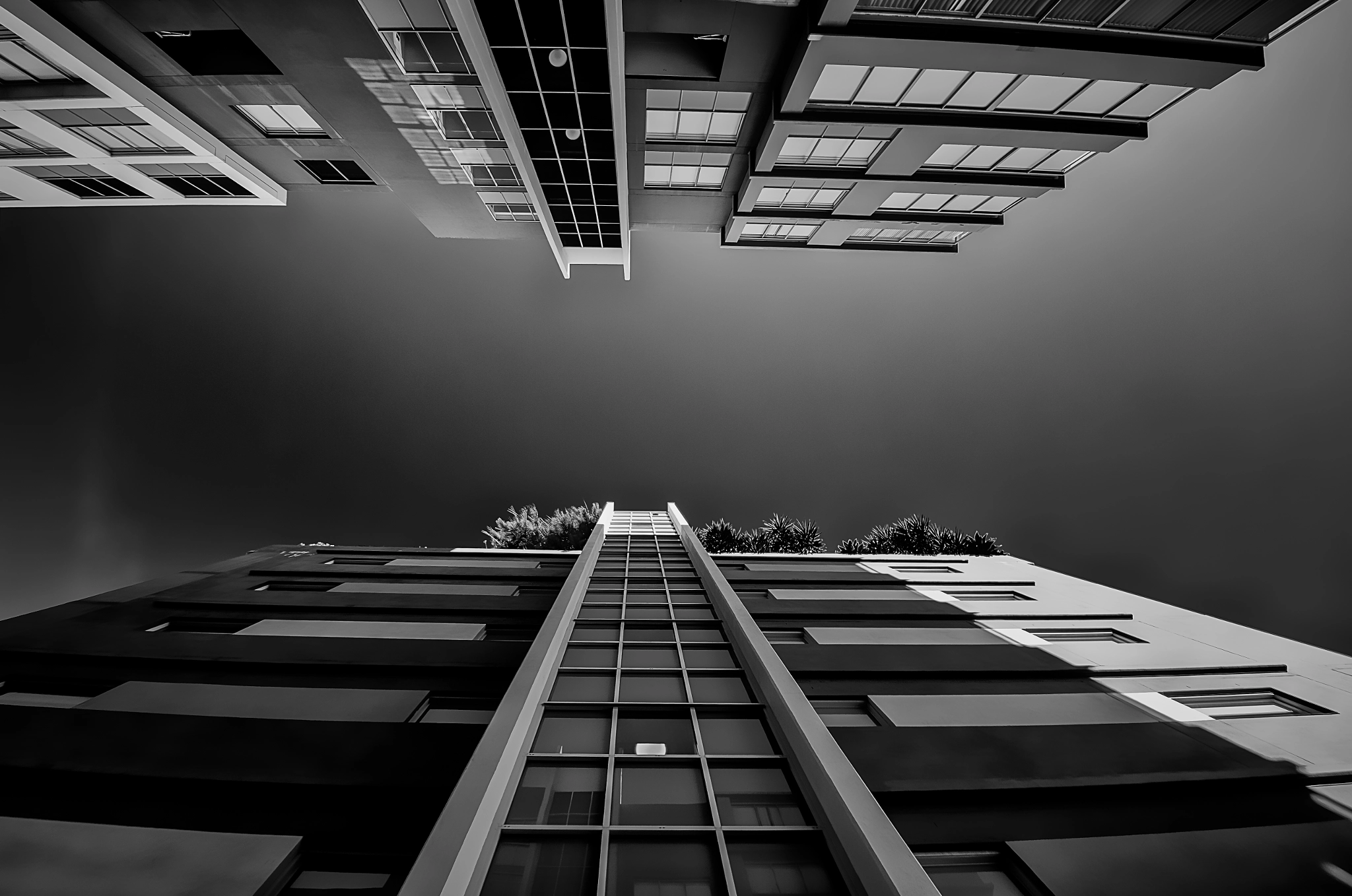 Sigma 10-20mm F3.5 EX DC HSM sample photo. The plank photography