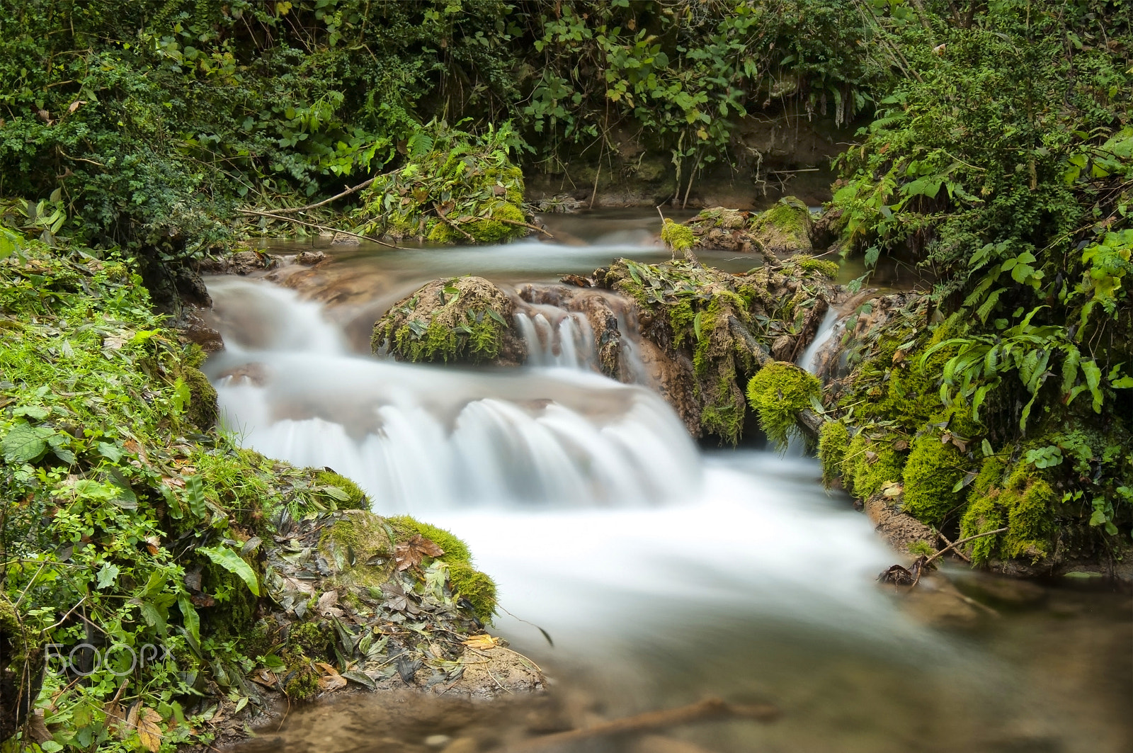 Nikon AF Nikkor 24-85mm F2.8-4D IF sample photo. Sülüklü göl deresi (leech lake stream) photography
