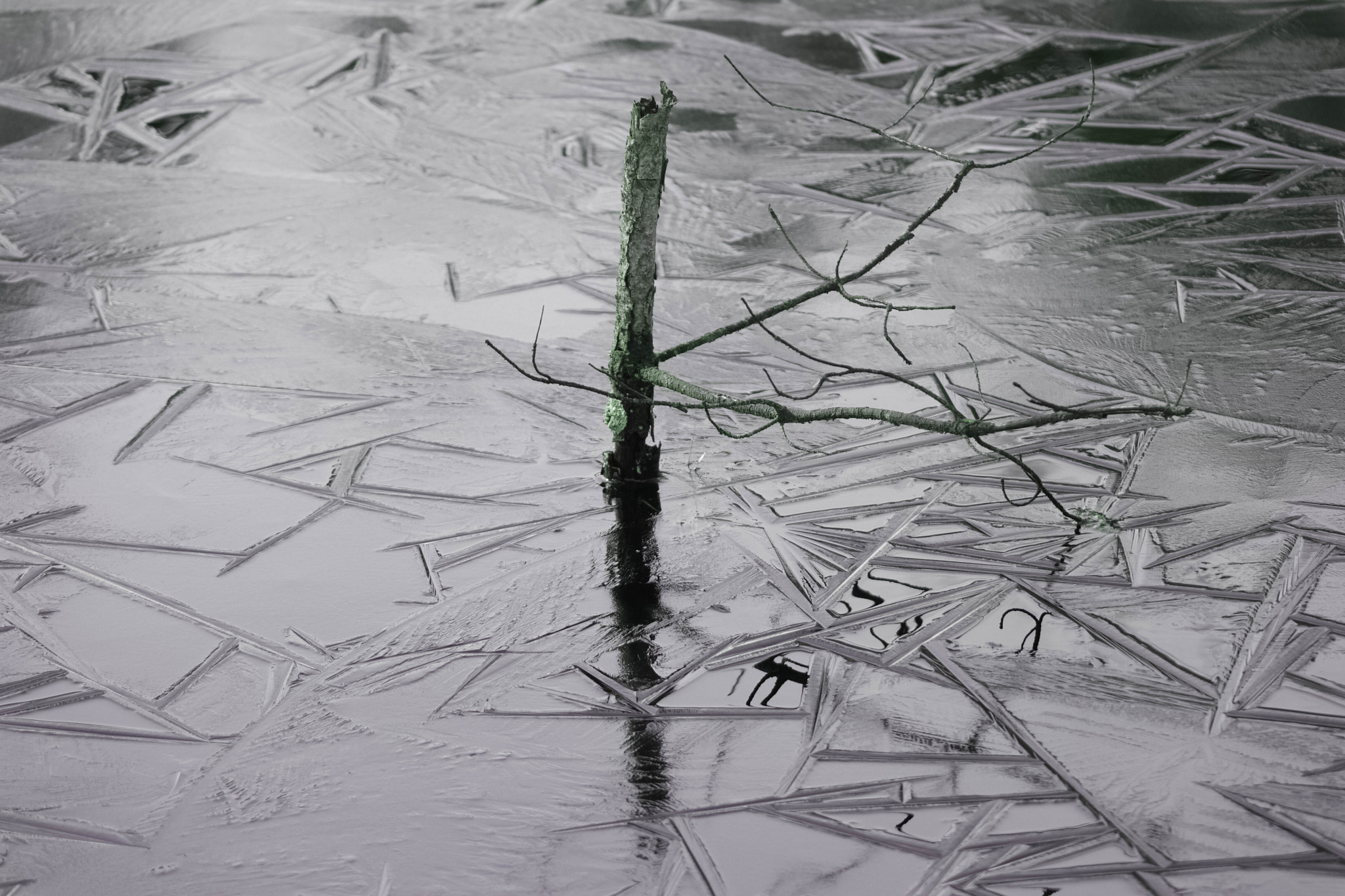 Samsung NX500 + NX 50-200mm F4-5.6 sample photo. Tiste ( germany ) - bauernmoor photography