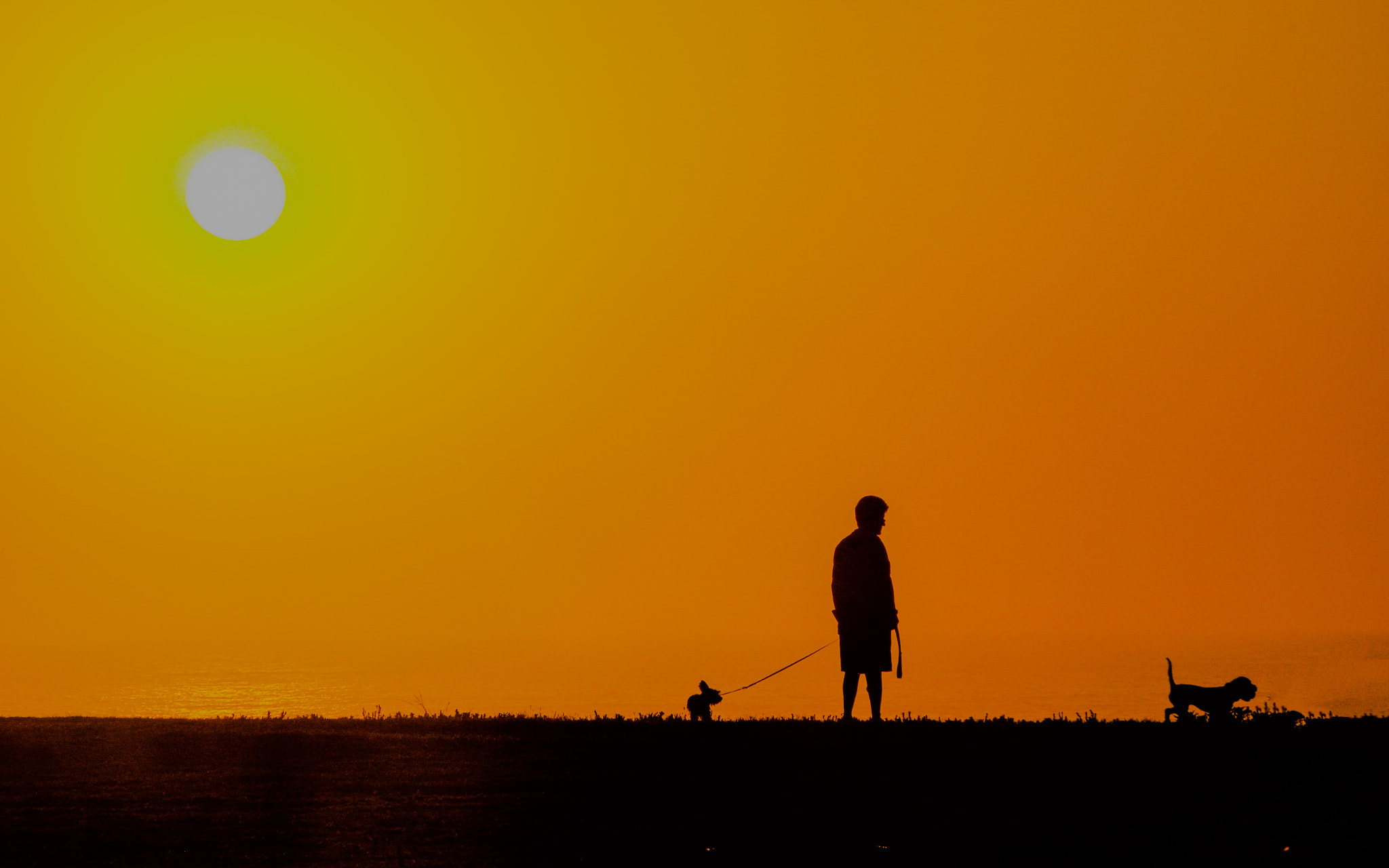 Pentax K-3 II sample photo. Walkingwithdogs.jpg photography