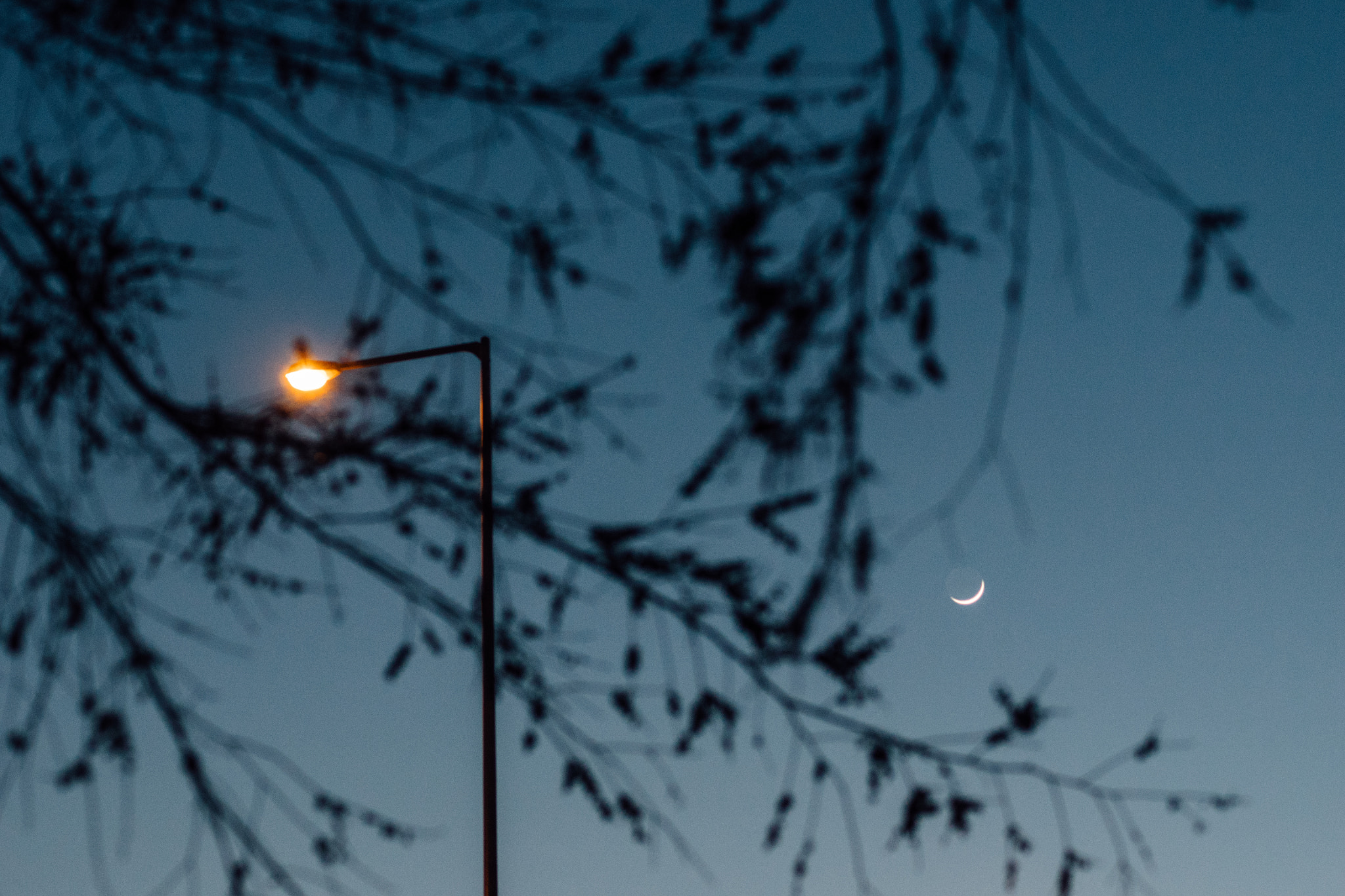 Olympus OM-D E-M1 + OLYMPUS 50mm Lens sample photo. 무제 photography
