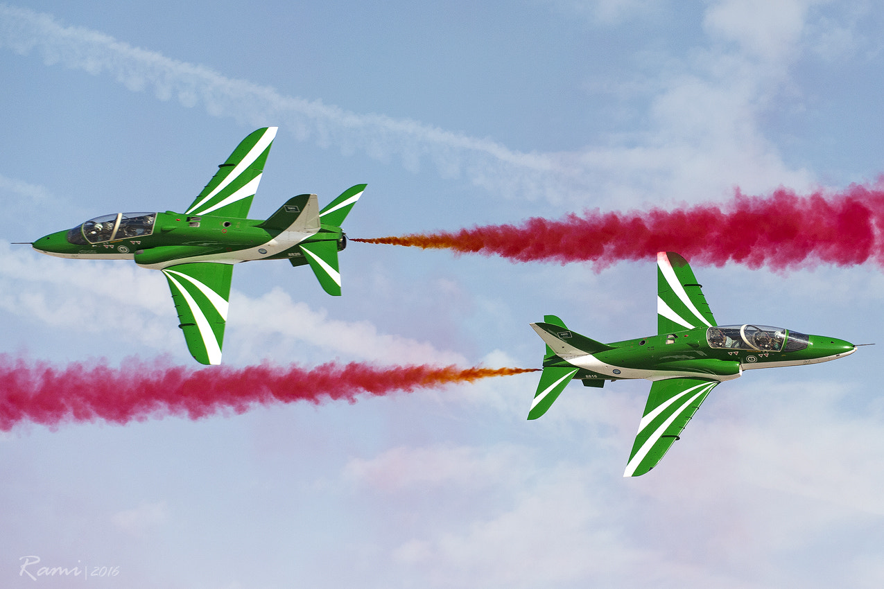 Nikon D4 sample photo. Saudi hawks in bahrain photography
