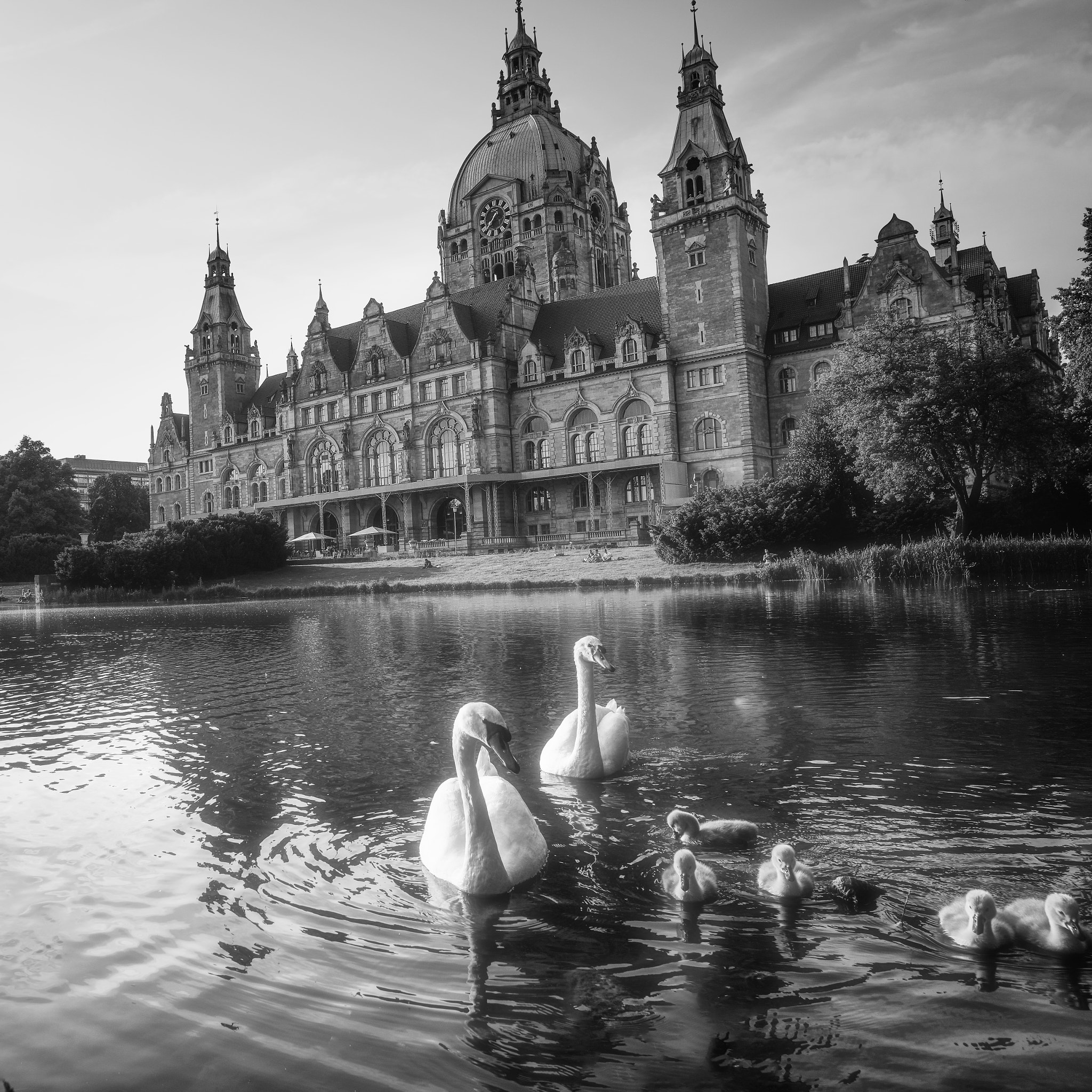 Sony a7R sample photo. Hannover neue rathaus photography