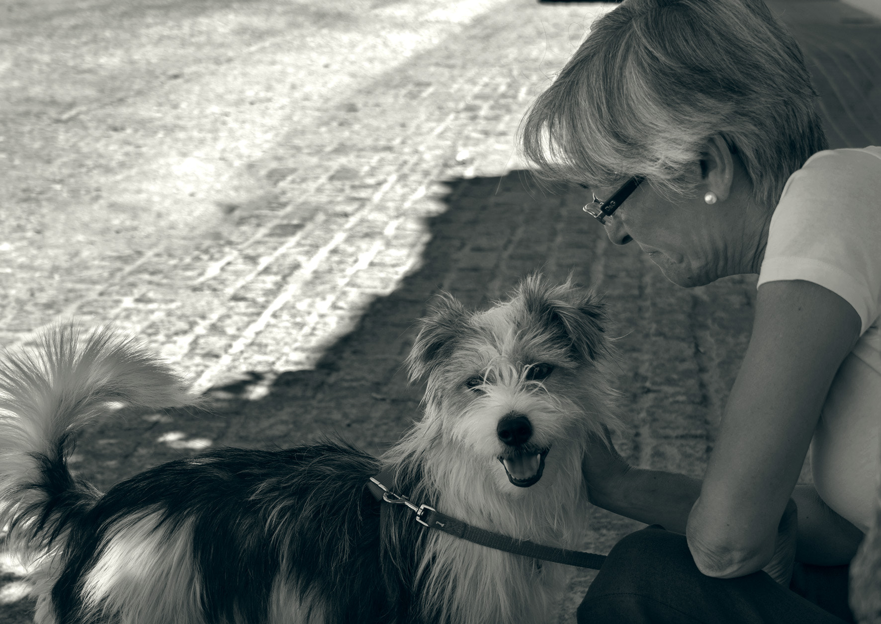 Canon EF-S 18-55mm F3.5-5.6 II sample photo. Dog love photography