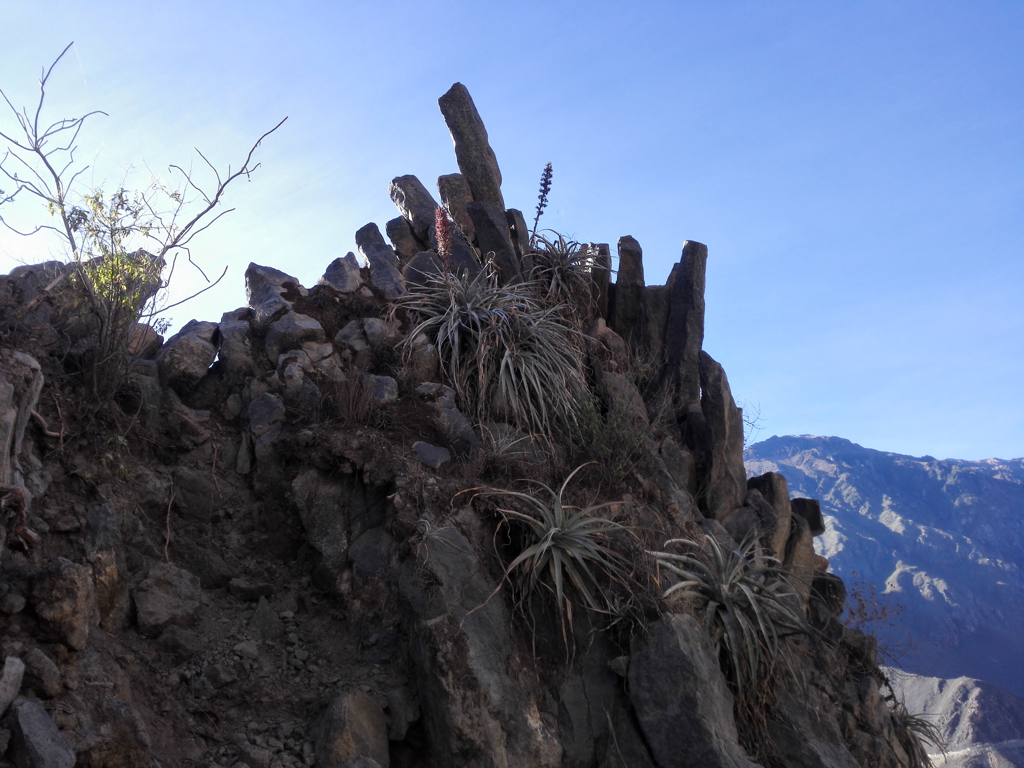 HUAWEI H60-L04 sample photo. Colca canyon - peru - rocks photography