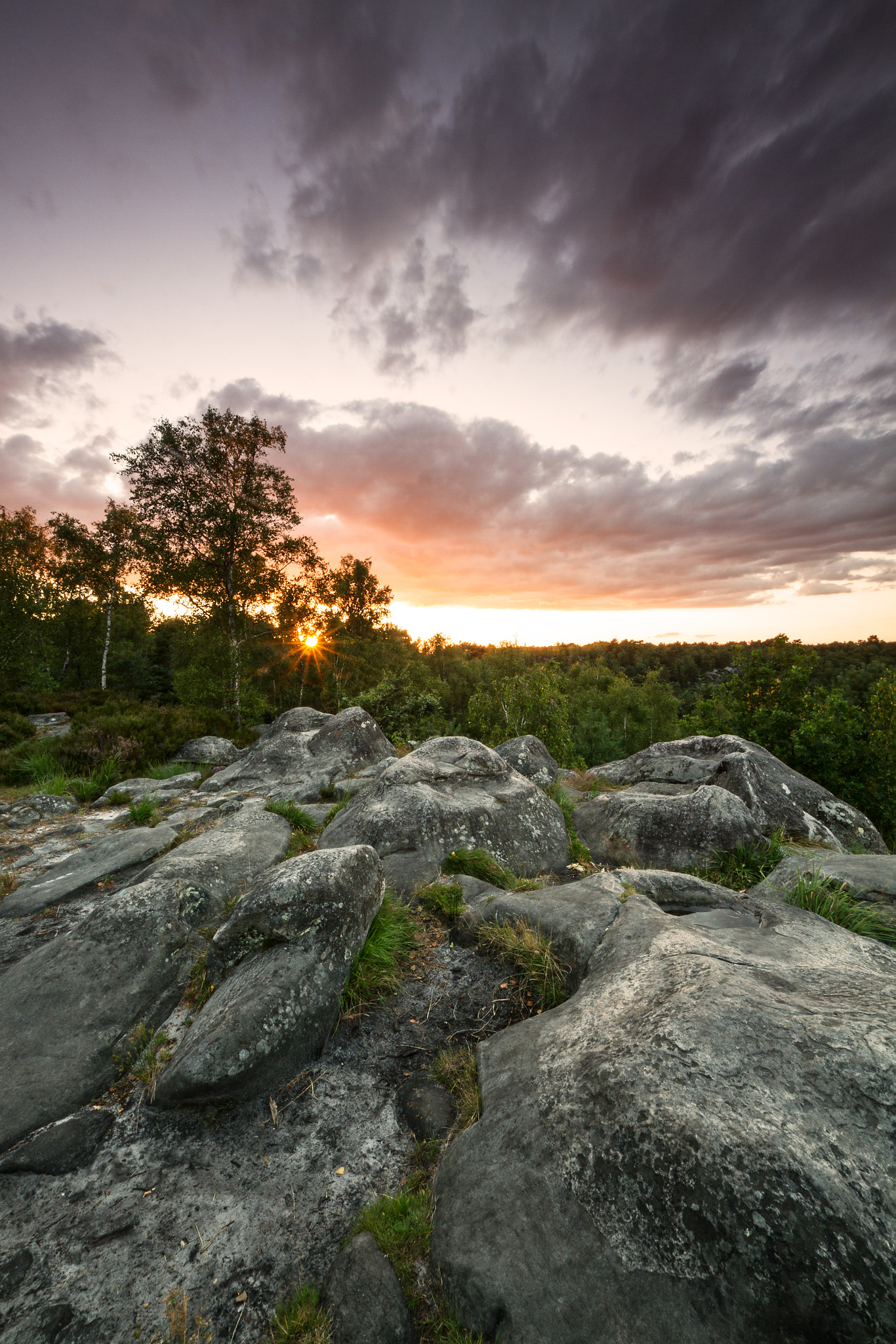 Sigma 8-16mm F4.5-5.6 DC HSM sample photo. Gorges d'apremont photography