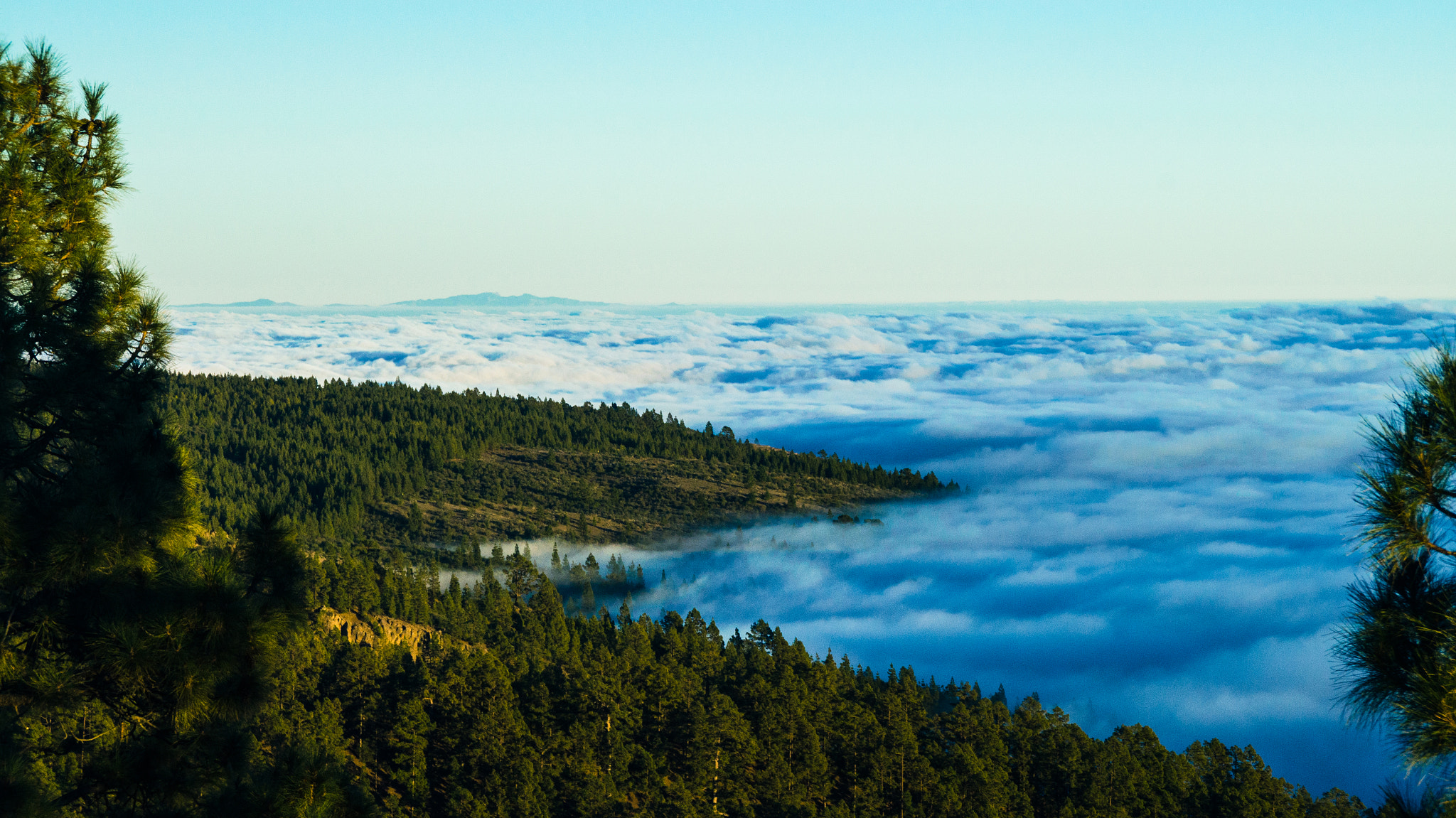 Sony SLT-A57 sample photo. Sea of clouds photography