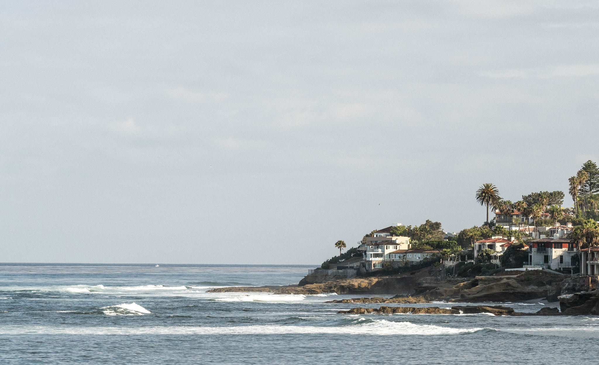 Olympus OM-D E-M5 II + Olympus M.Zuiko Digital ED 75mm F1.8 sample photo. La jolla photography