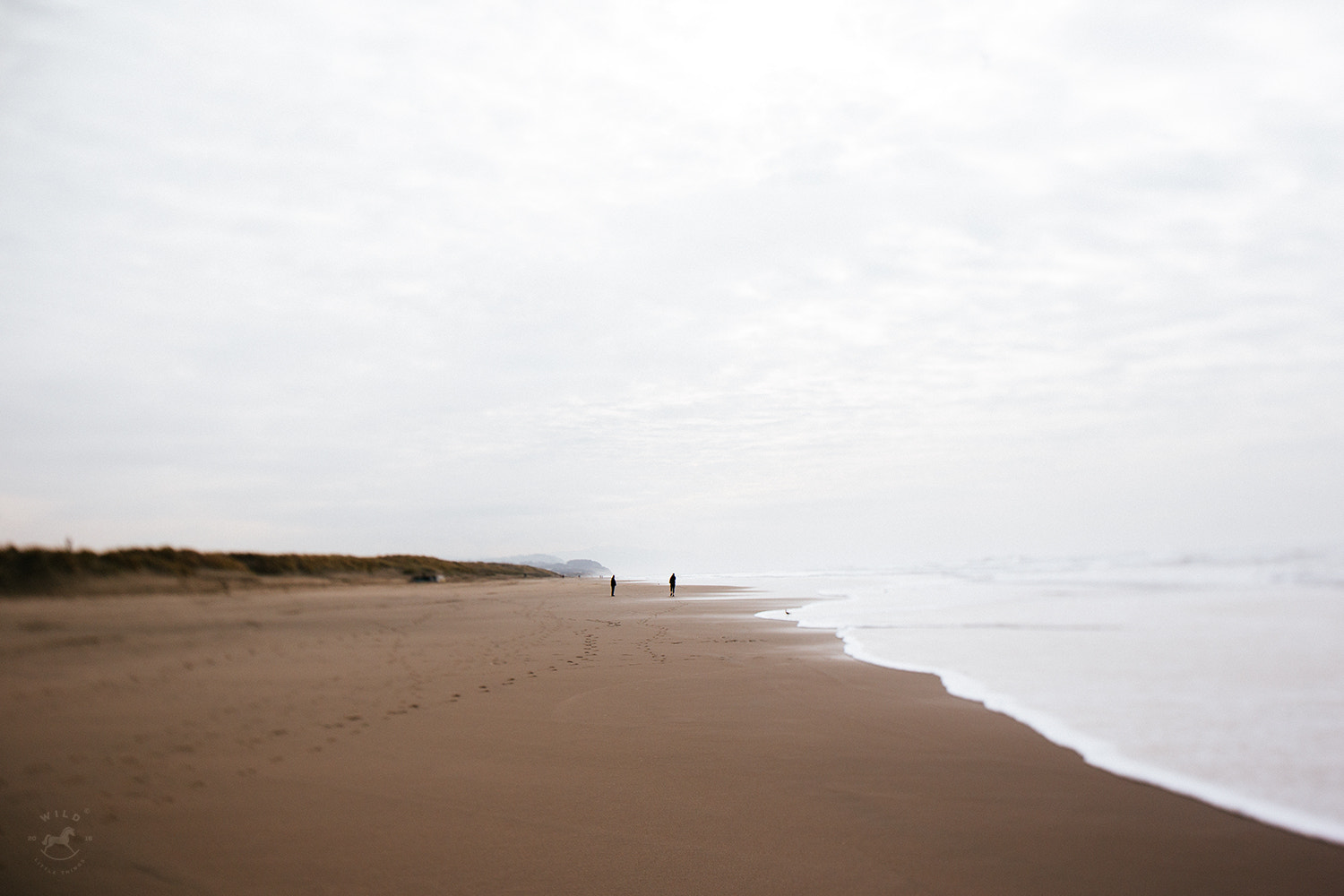 Canon TS-E 24.0mm f/3.5 L II sample photo. Trail photography