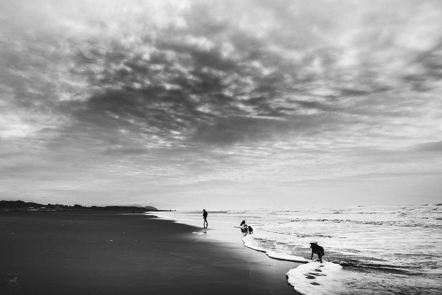 Canon TS-E 24.0mm f/3.5 L II sample photo. Adhere photography