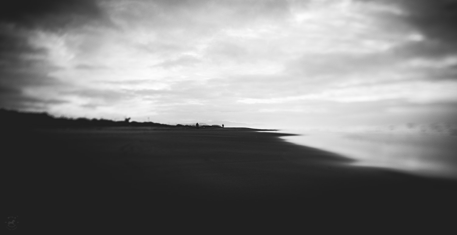Canon TS-E 24.0mm f/3.5 L II sample photo. Solitude photography