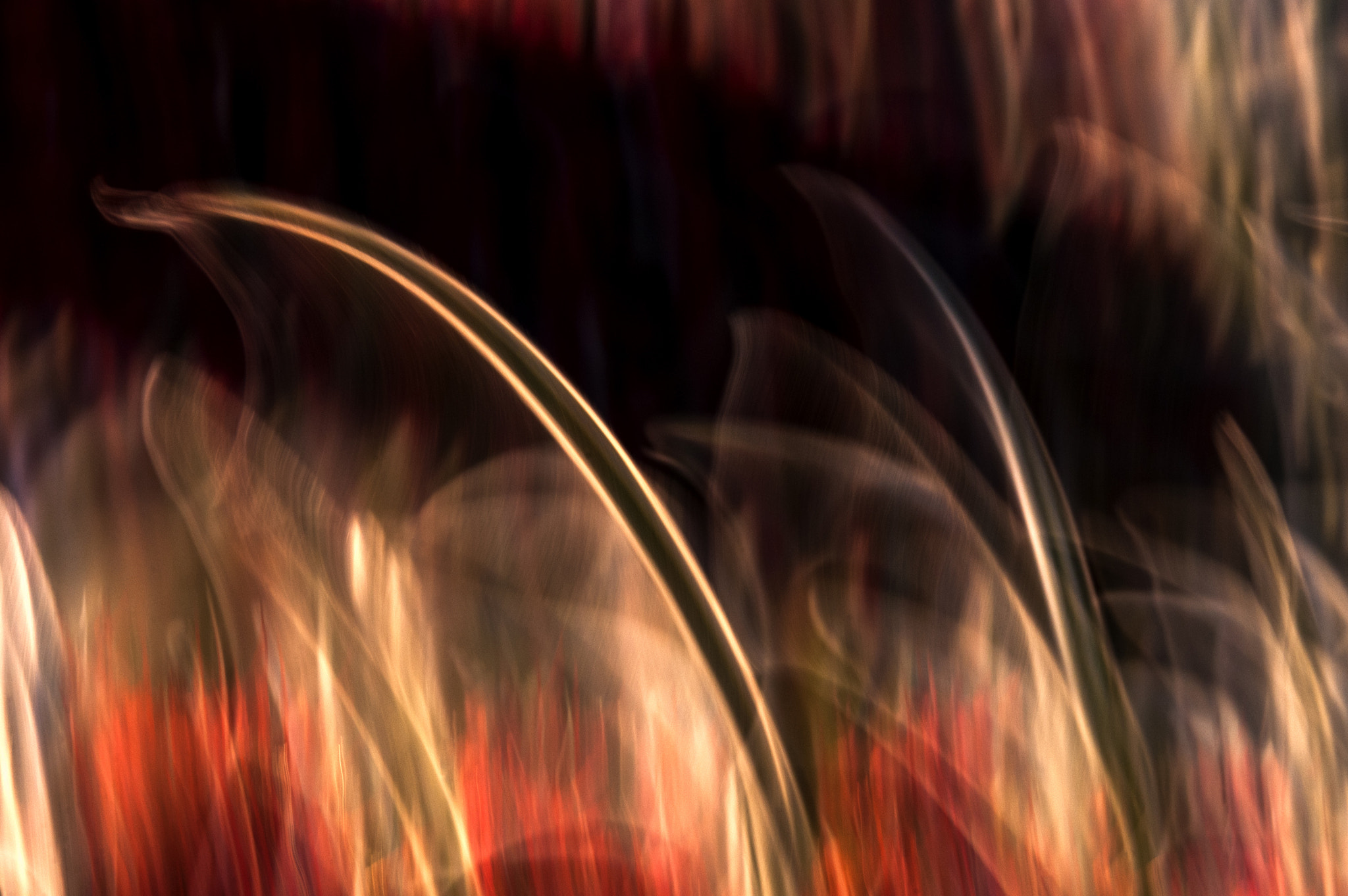 Sigma 17-70mm F2.8-4 DC Macro OS HSM | C sample photo. Fuego photography