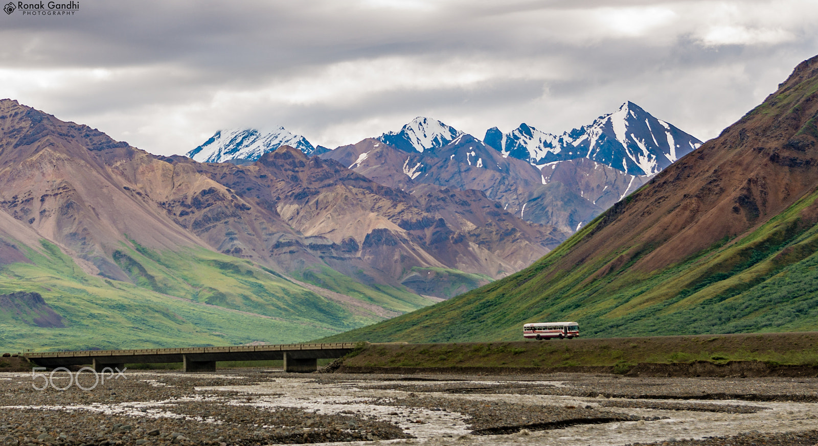 Sigma 17-50mm F2.8 EX DC HSM sample photo. Exploring wilderness of denali national park photography