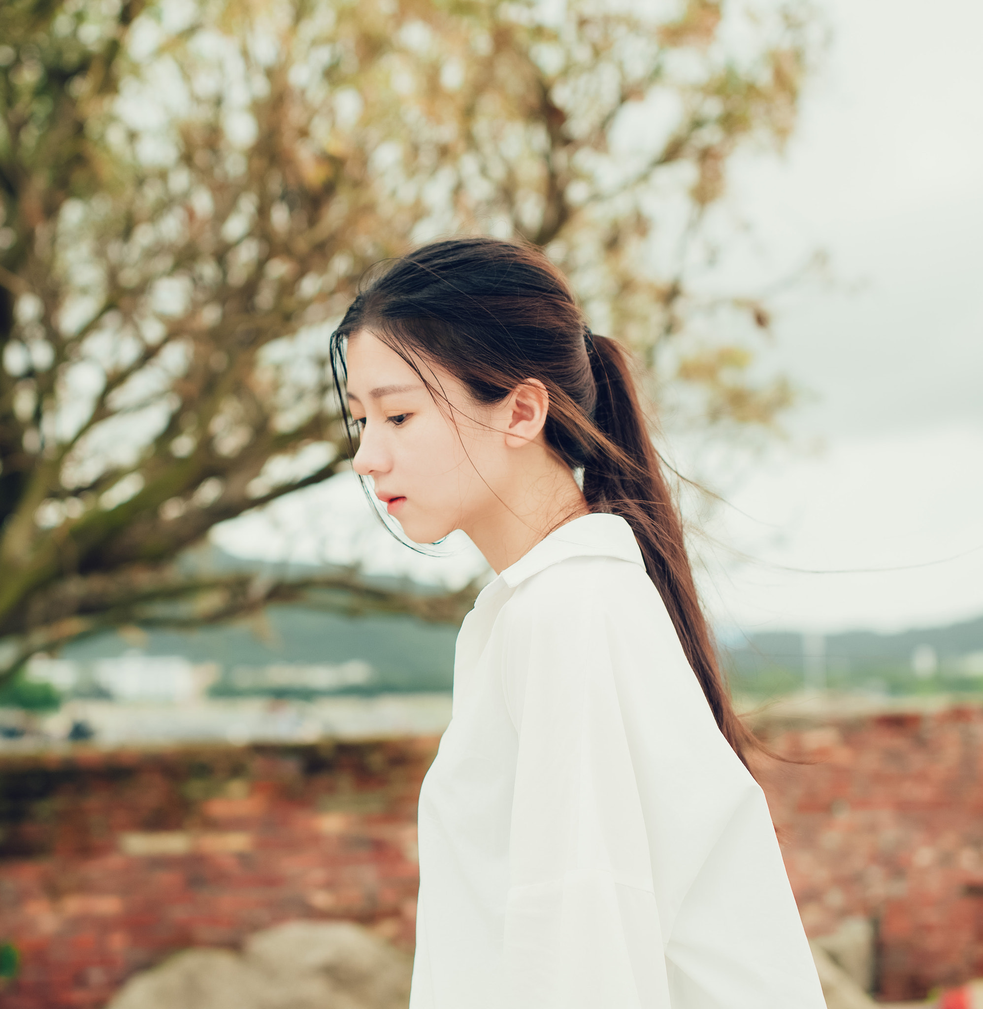 Nikon D610 + Sigma 50mm F1.4 EX DG HSM sample photo