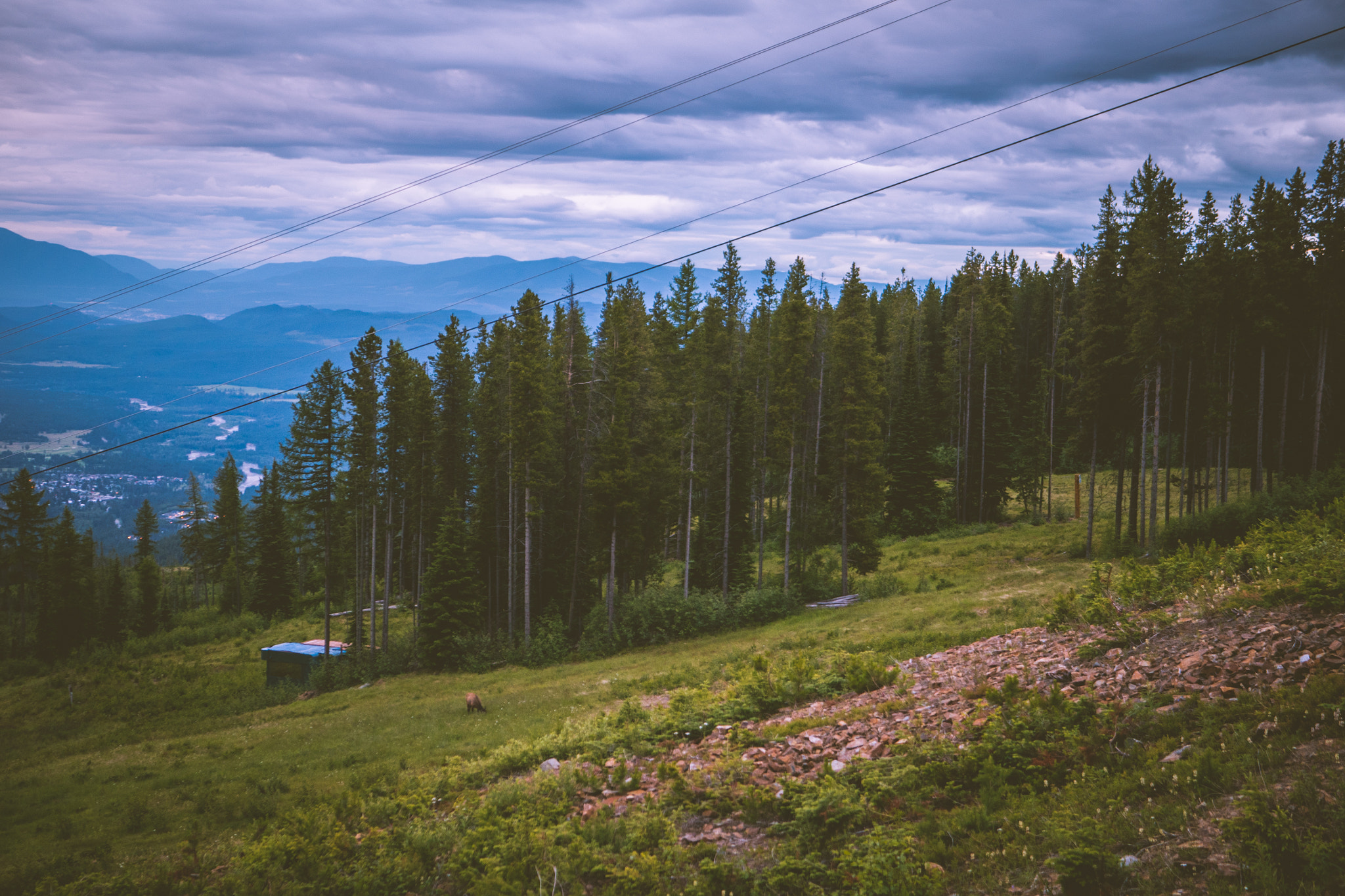 Panasonic Lumix DMC-GH4 + LUMIX G 25/F1.7 sample photo. Early morning hike photography