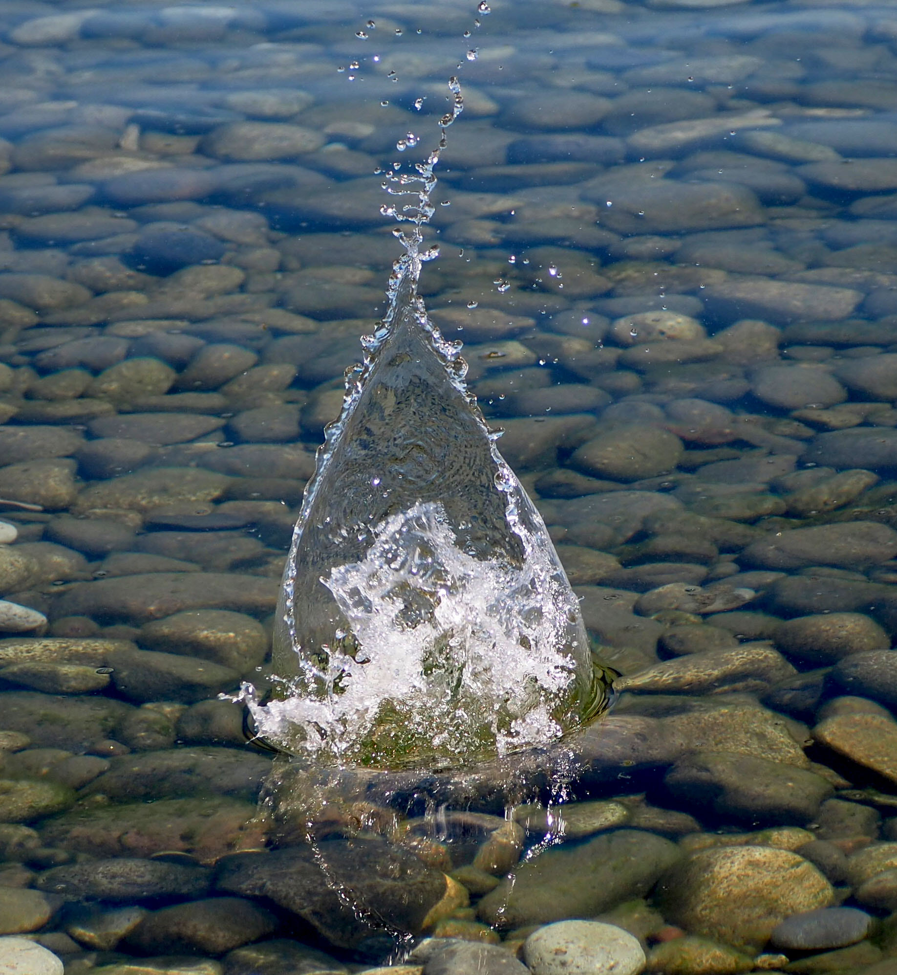 Panasonic Lumix G Vario 45-200mm F4-5.6 OIS sample photo. Catch a splash photography
