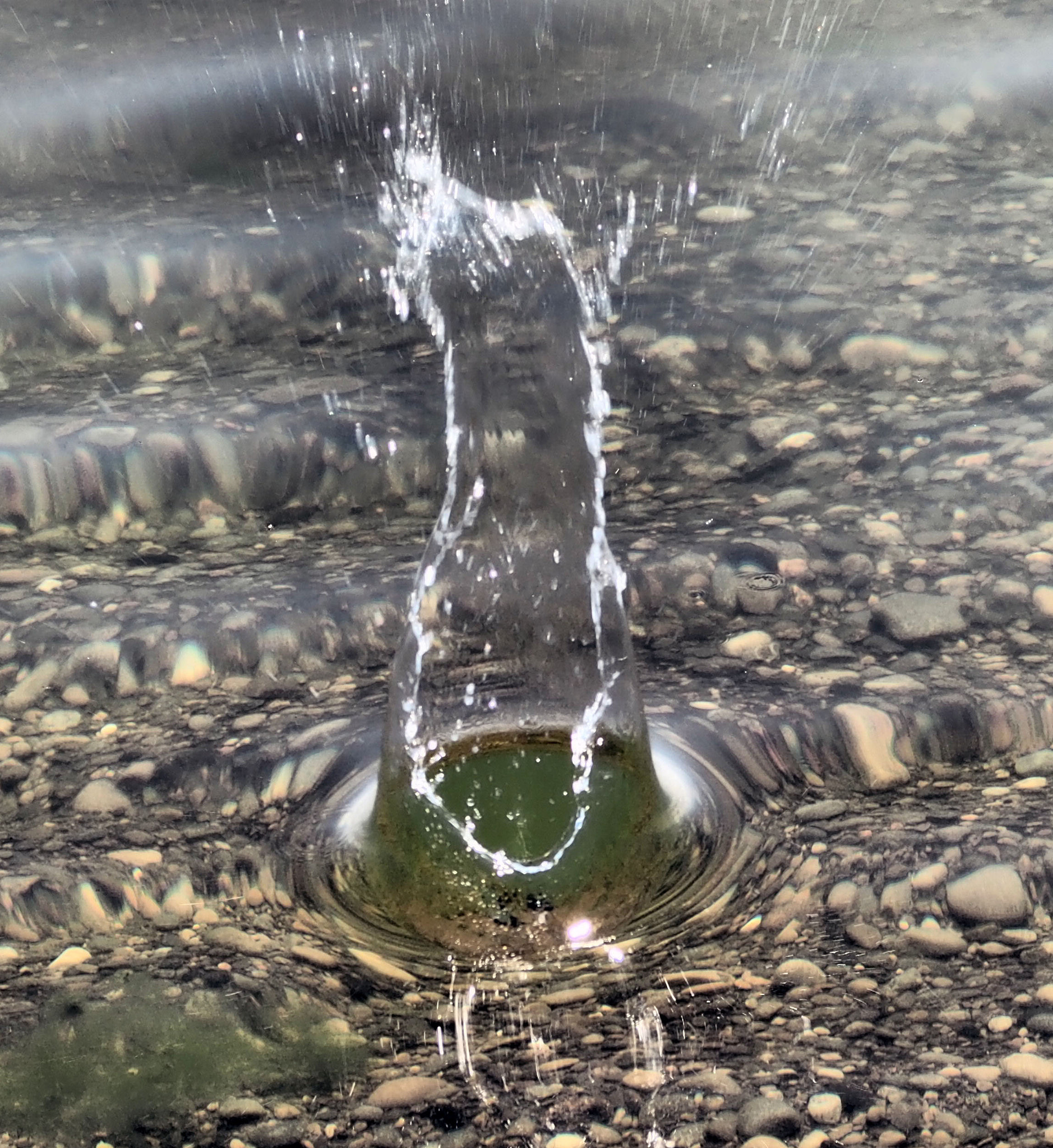 Panasonic Lumix G Vario 45-200mm F4-5.6 OIS sample photo. Catch a splash photography
