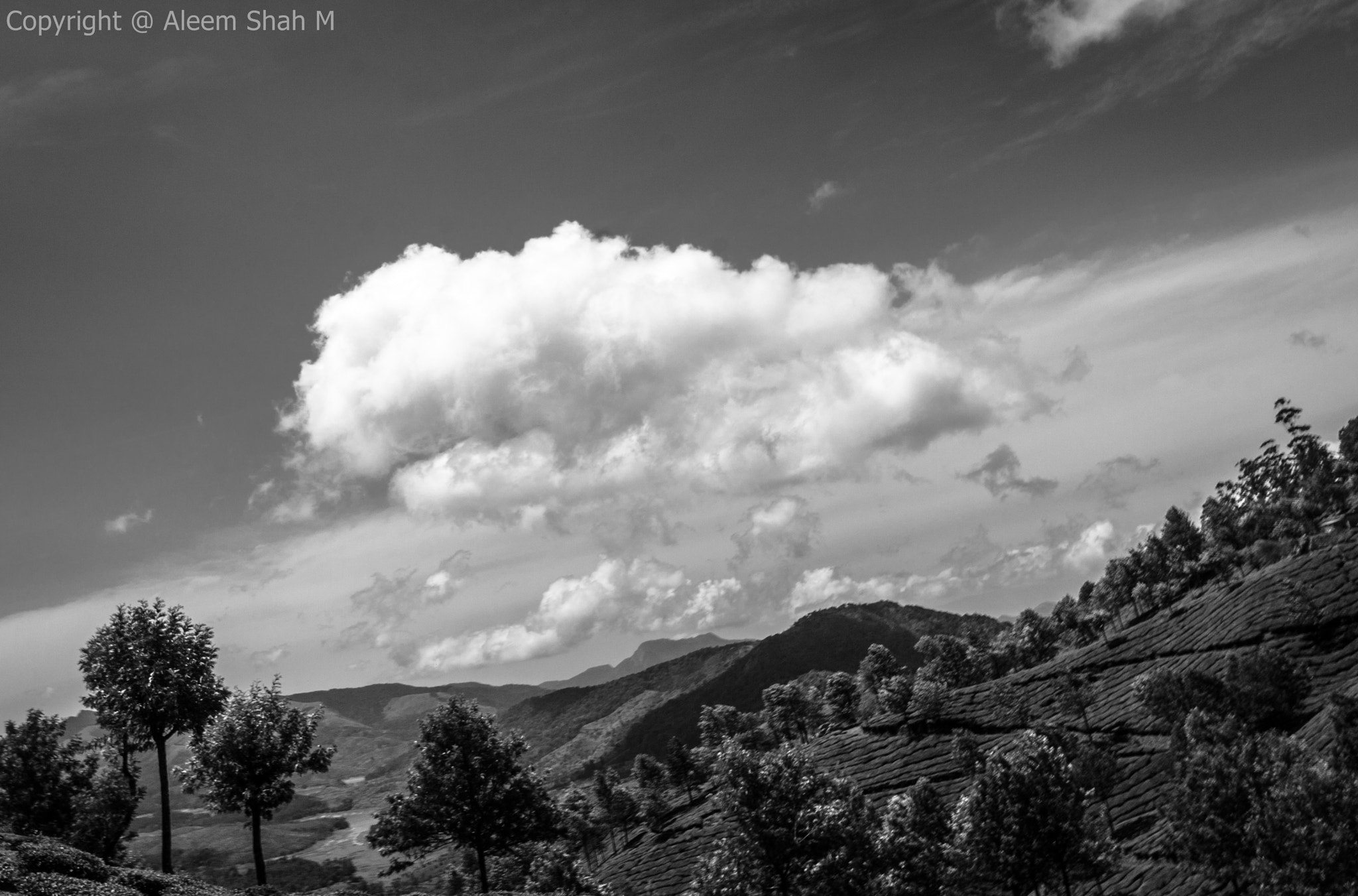 Canon EOS 40D sample photo. Darkness begets light ! photography