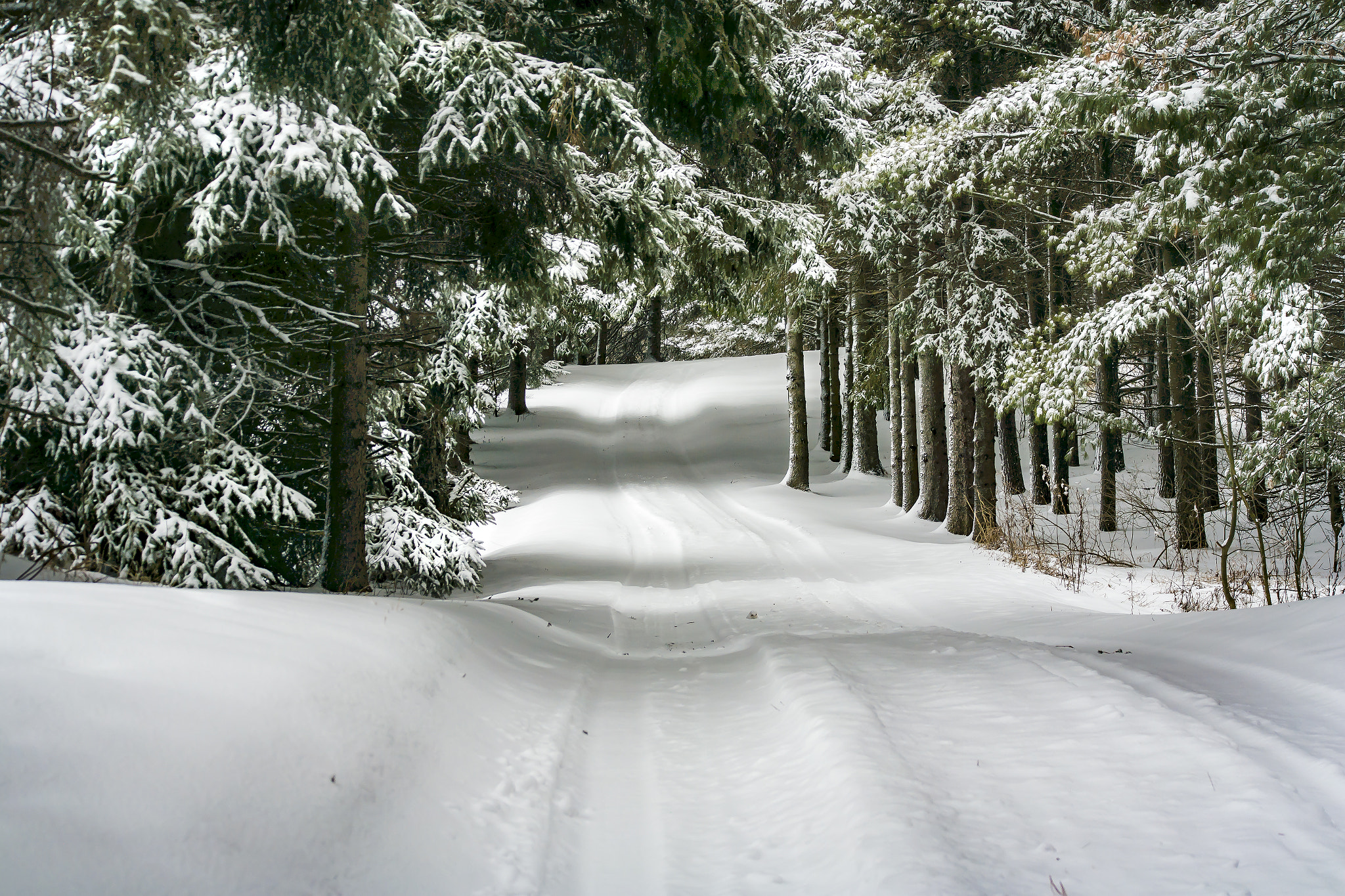 Samsung NX20 sample photo. Snowy lane photography