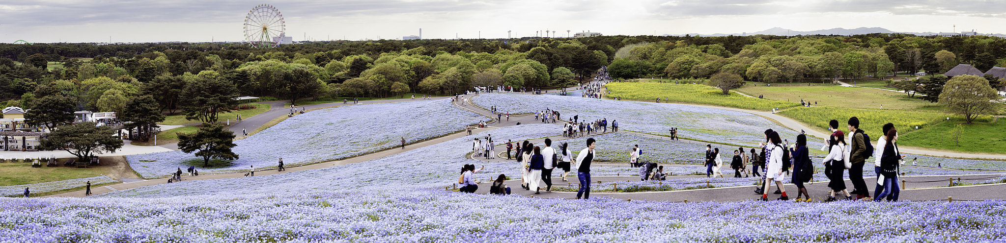 ZEISS Otus 55mm F1.4 sample photo